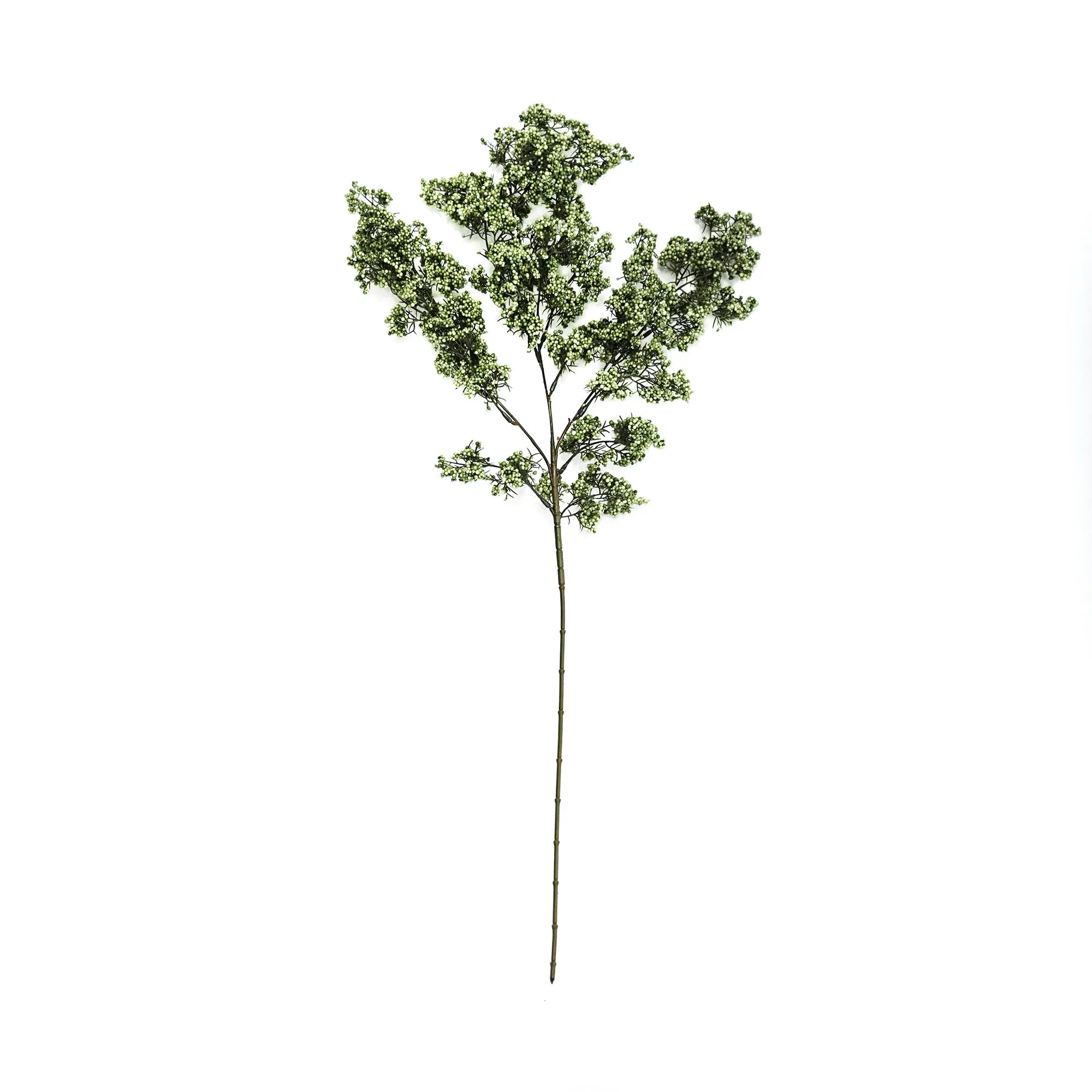 Unum hiems viridi fructum