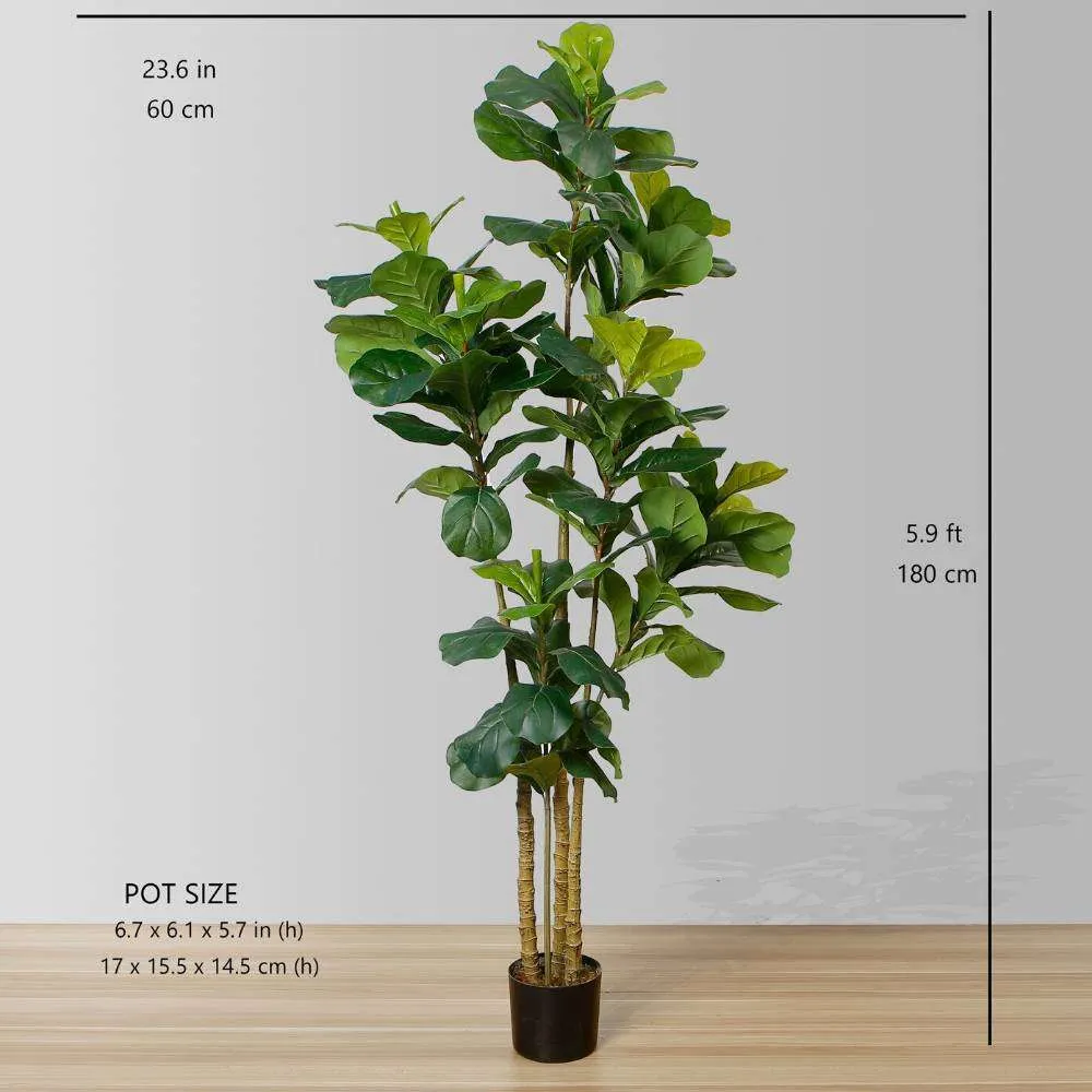 Dives artificialis fiddle folium potted plant (multa magnitudine)