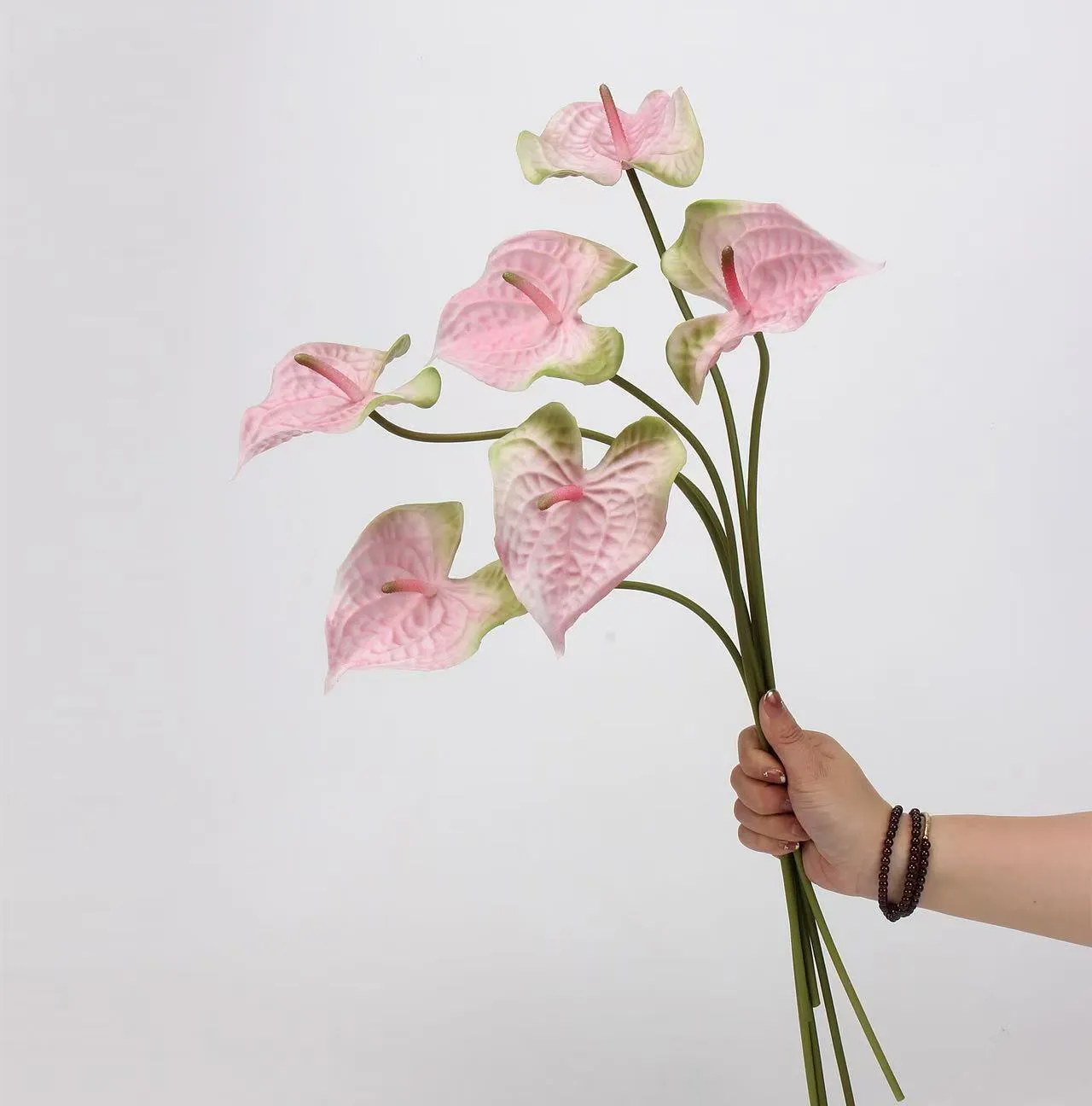anthurium palmam