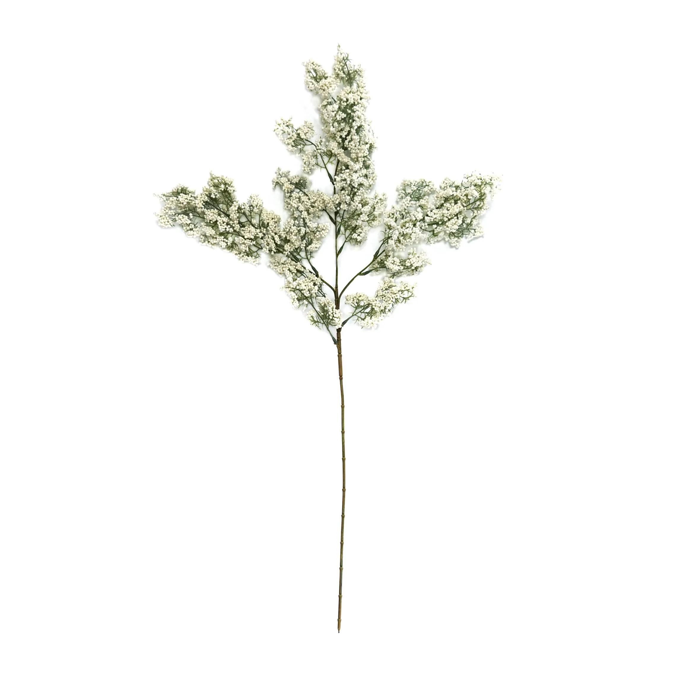 Unum hiems viridi fructum