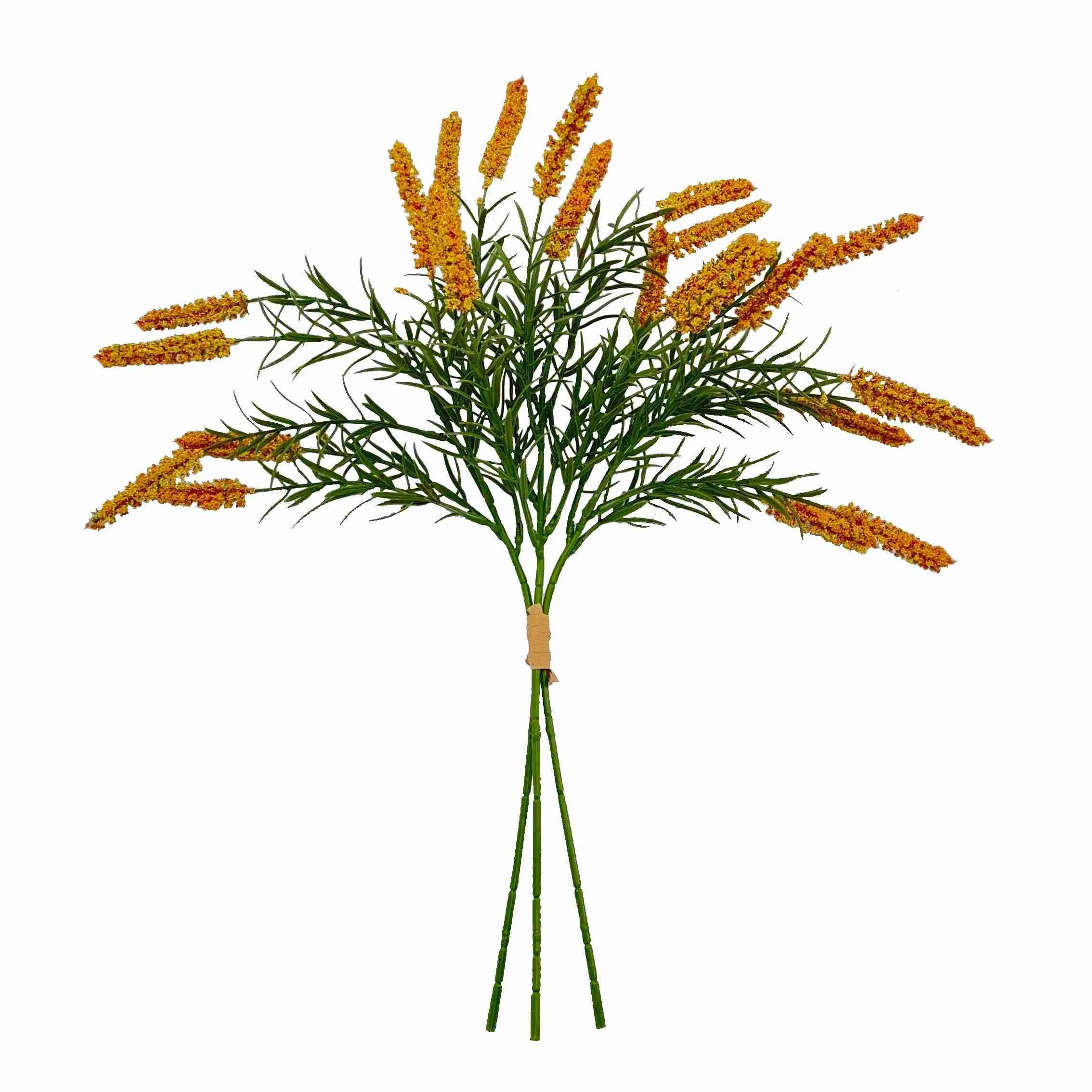 Fascis calamo flores