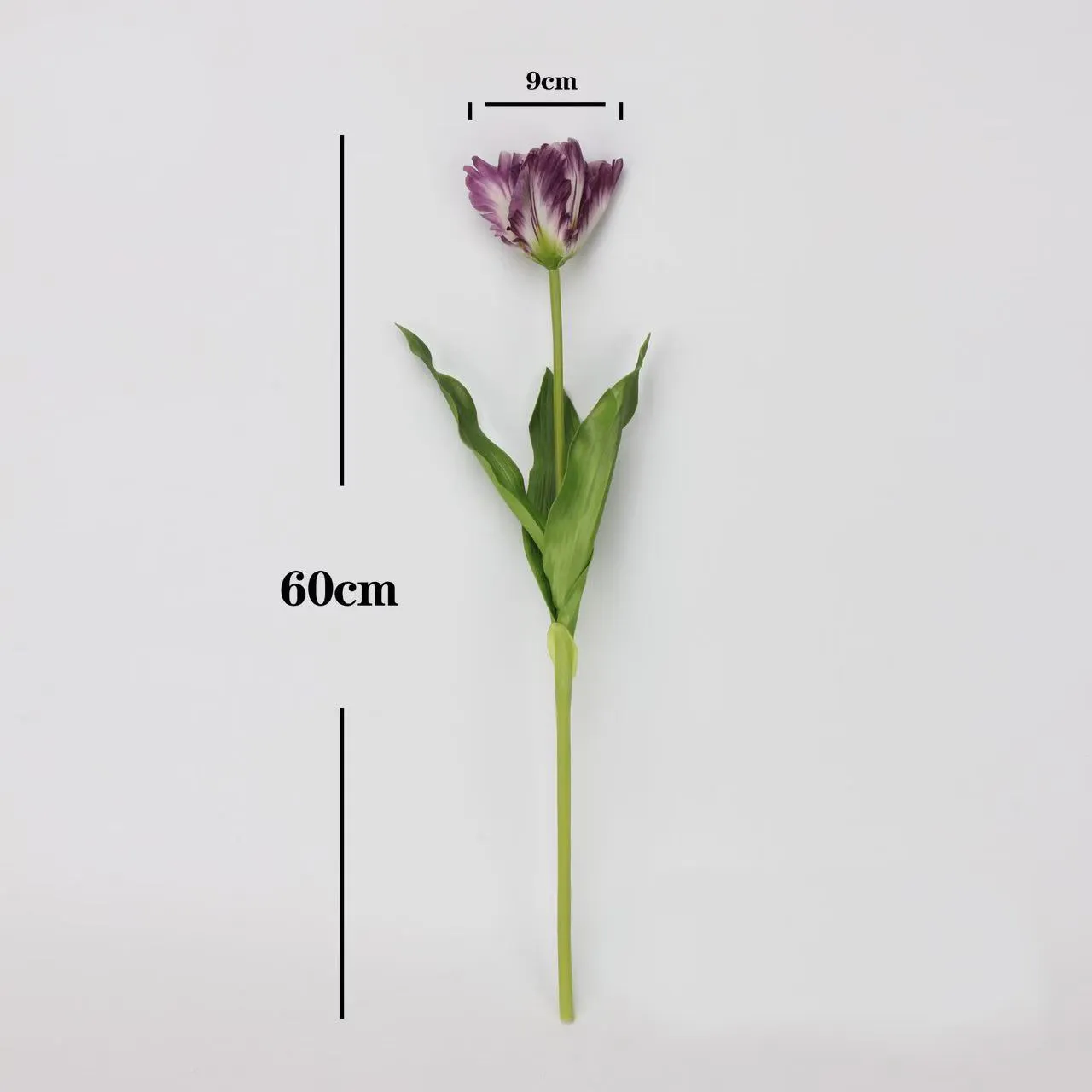 Monet Tulipaaaaaaaaaaaaaaaaaaaaa