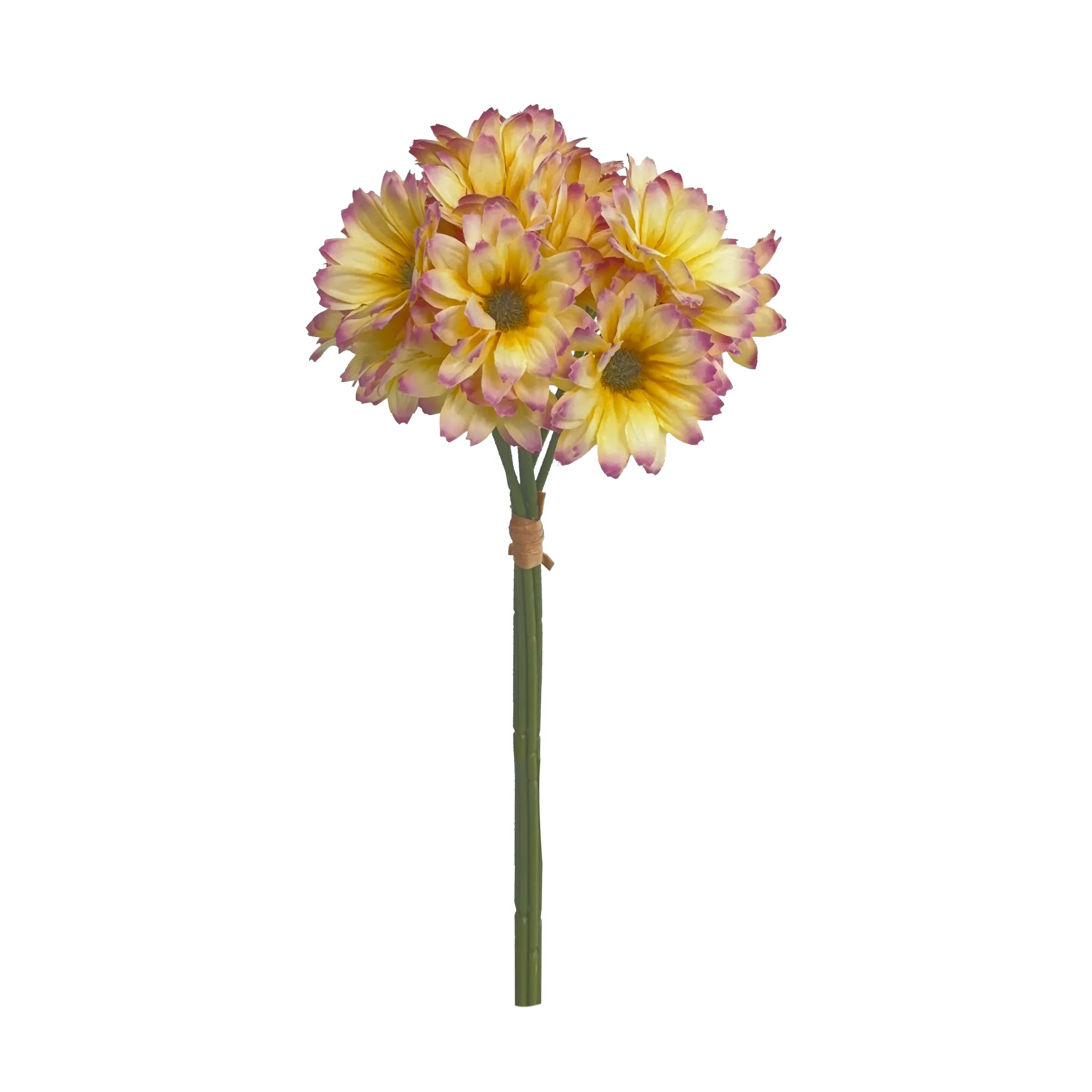 Take a fasciculum Sunflowers