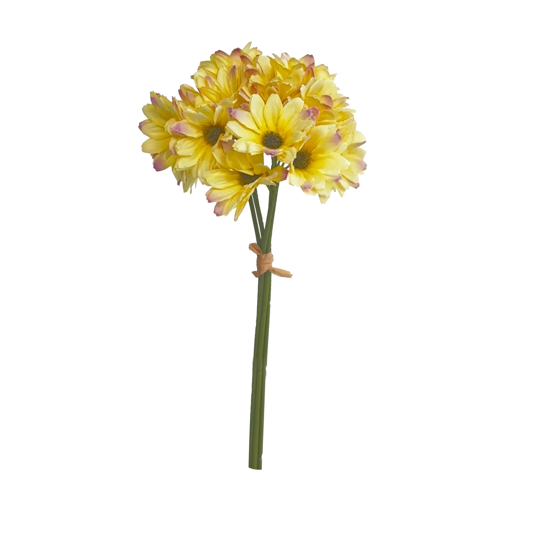 Take a fasciculum Sunflowers