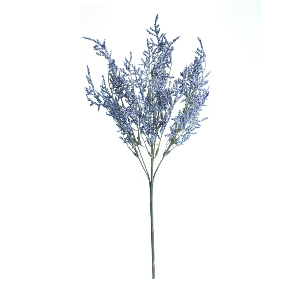 posuit fasciculum amatoris folia eam
