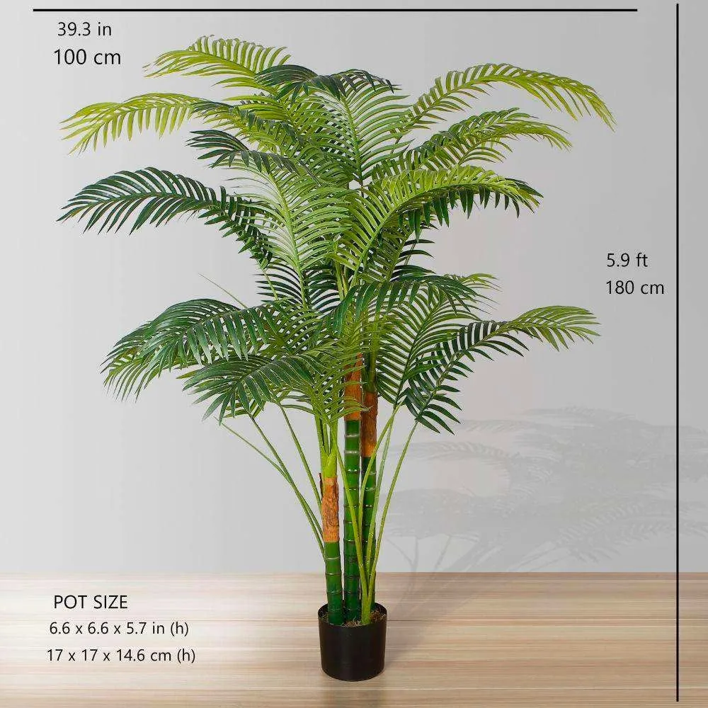 Hawaii artificialis palmam arbore potted plant