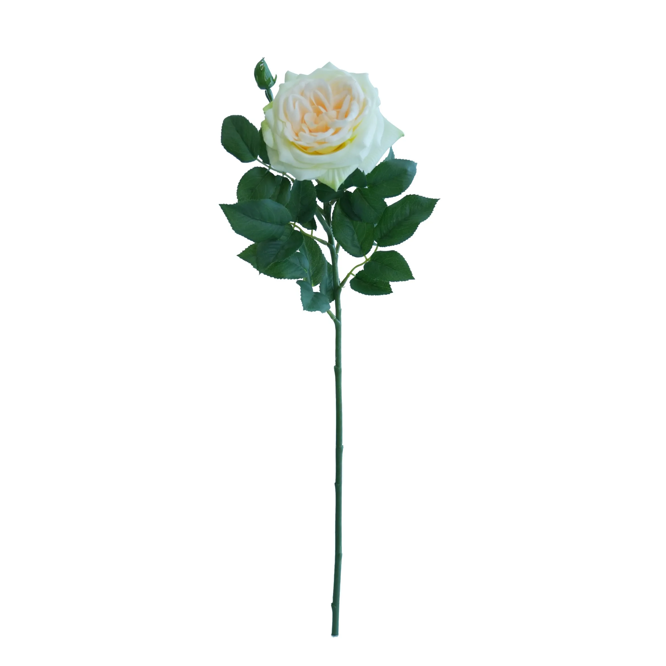 Una Lychee Rose