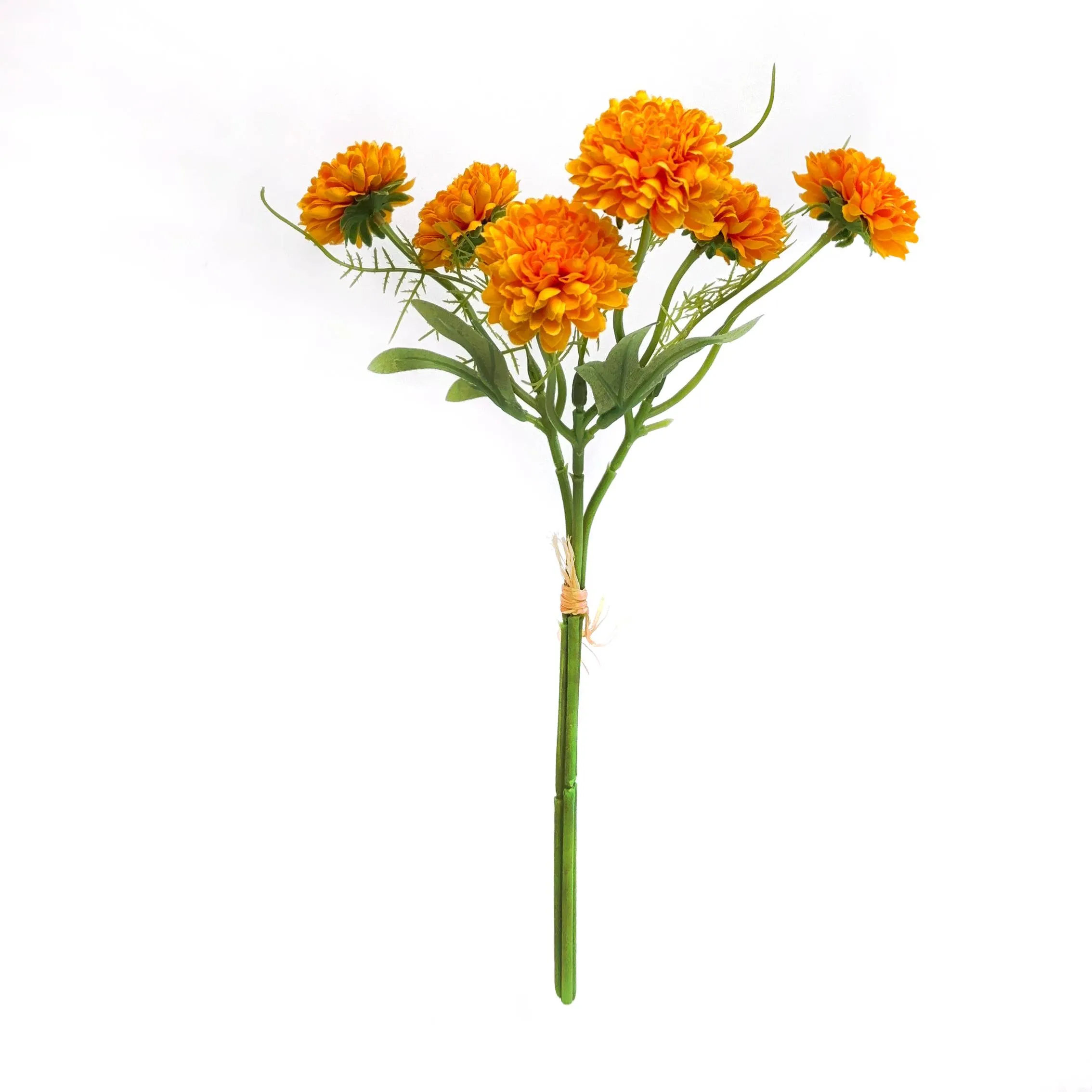 A fasciculum chrysanthemums