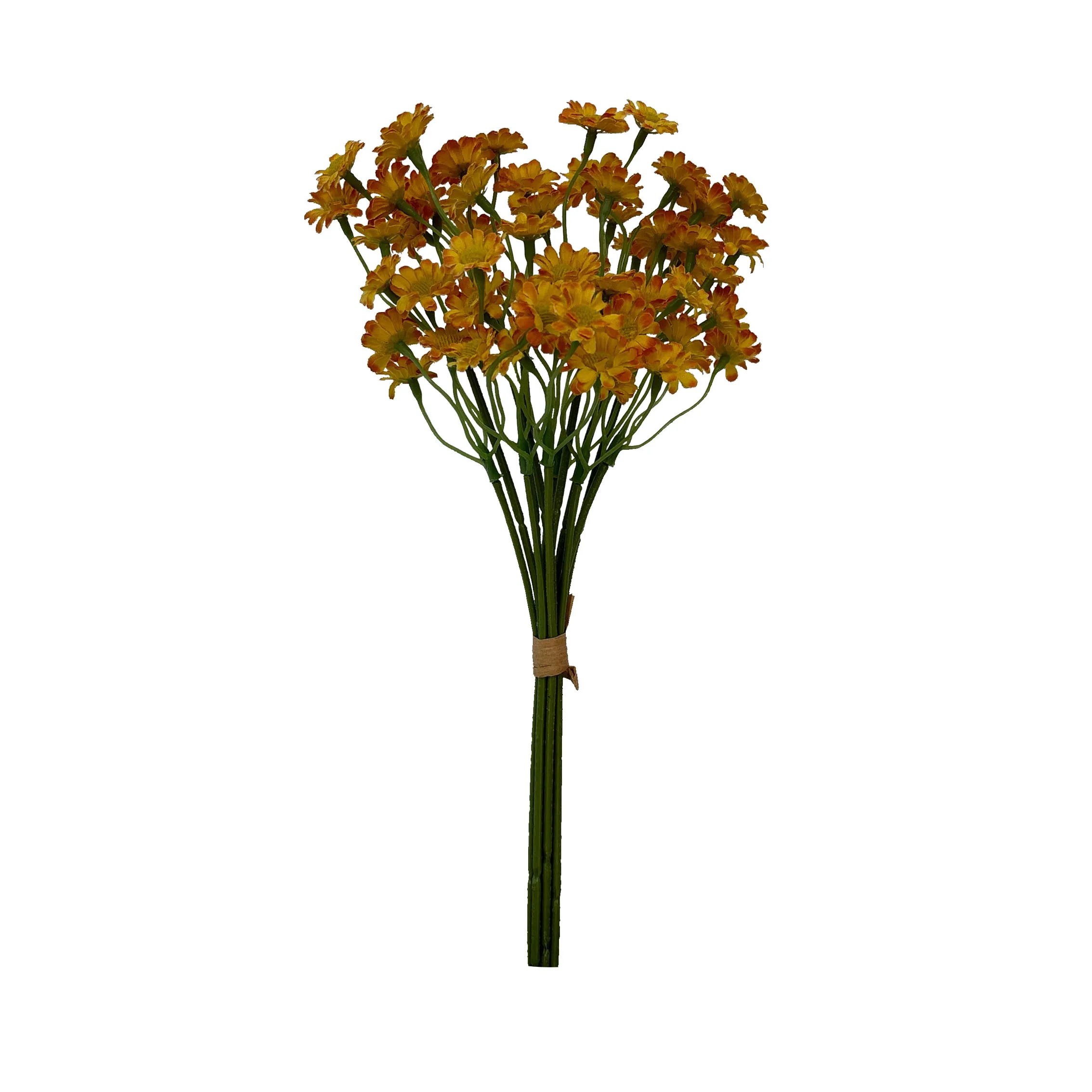 Take a fasciculum chamamile