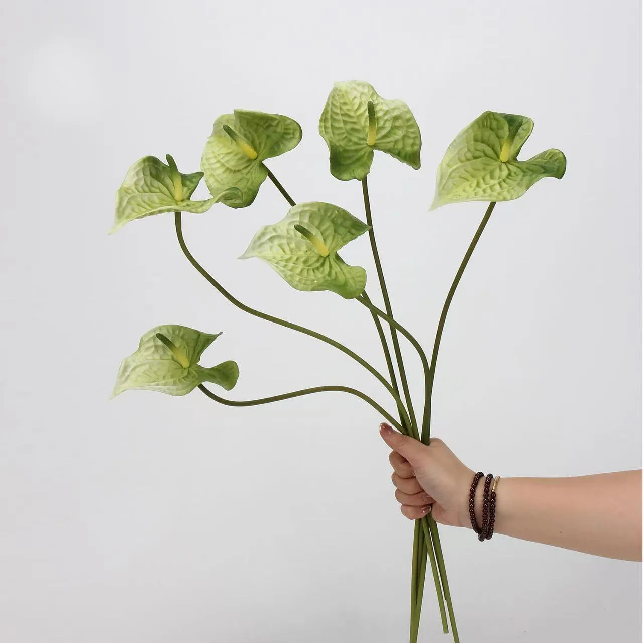 anthurium palmam