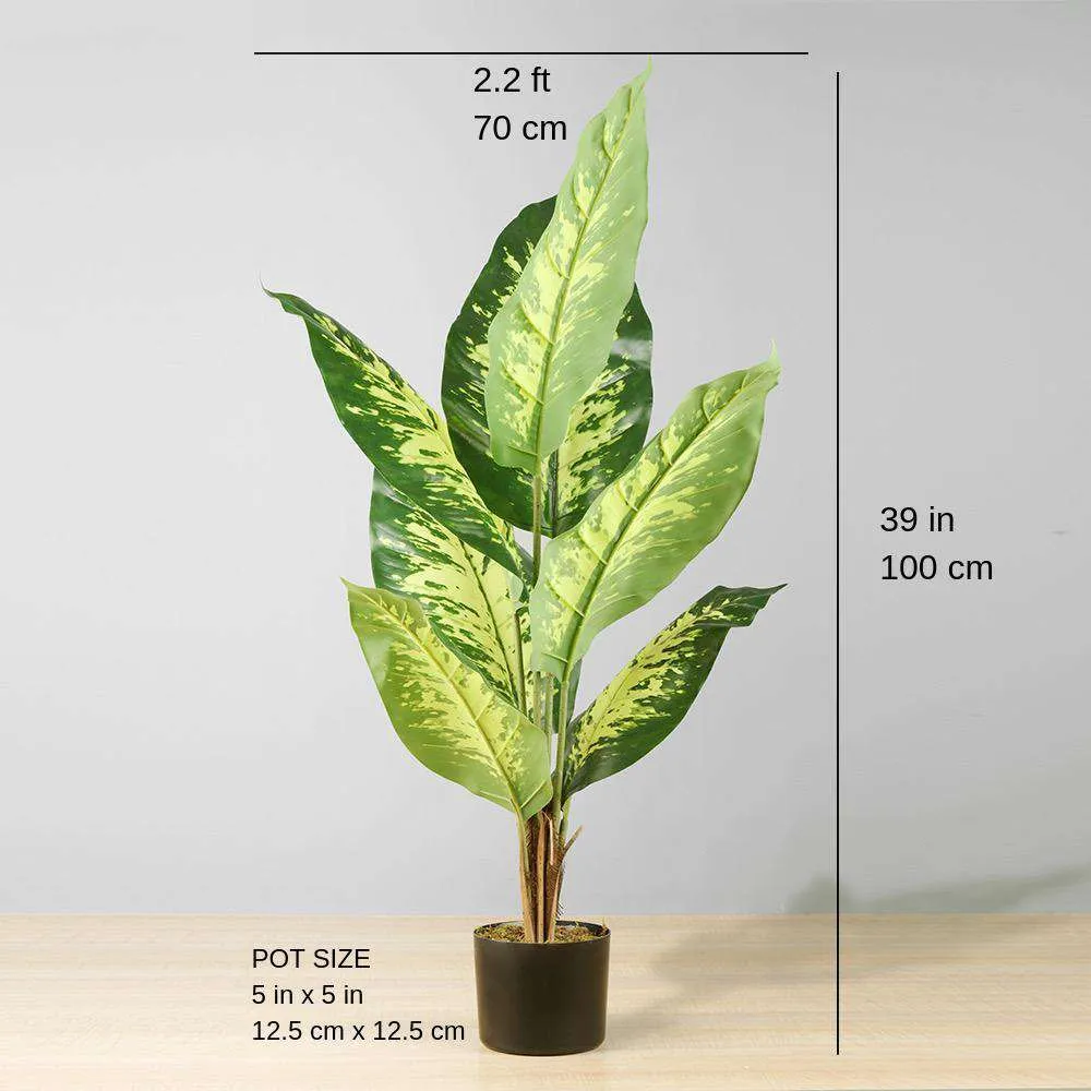 Artificialis Evergreen potted plant