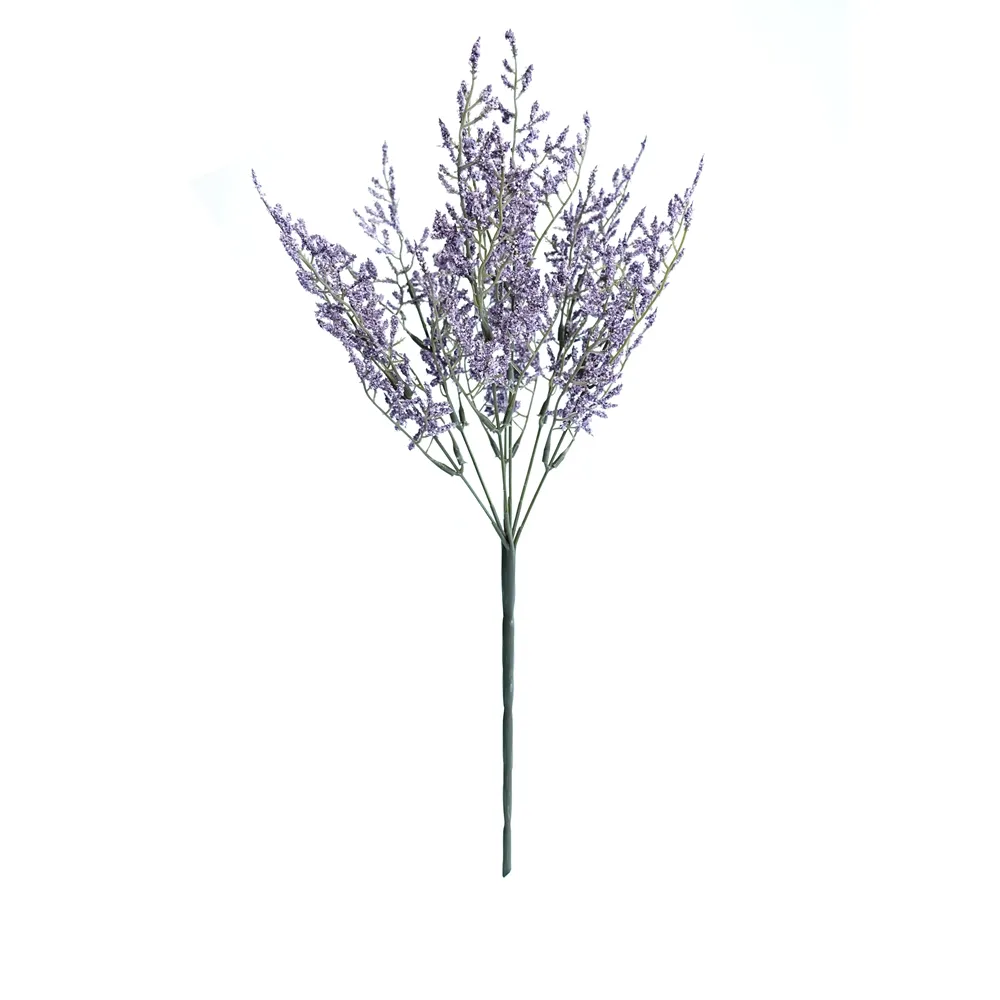 posuit fasciculum amatoris folia eam