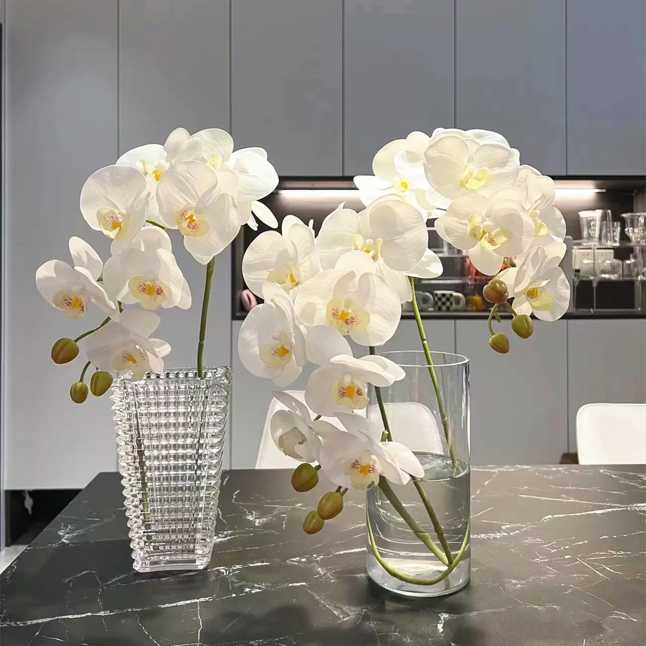 Phalaenopsis orchid