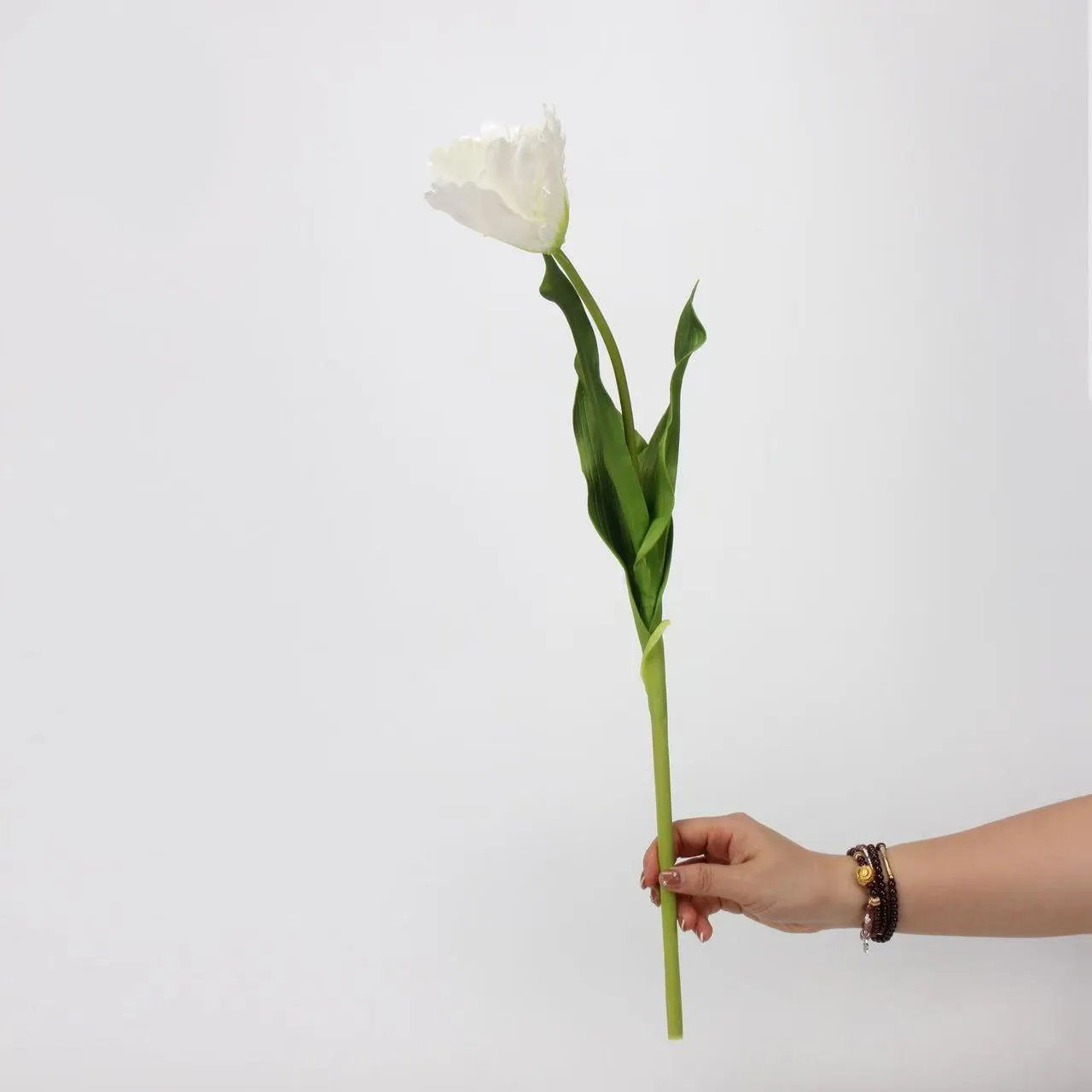 Monet Tulipaaaaaaaaaaaaaaaaaaaaa