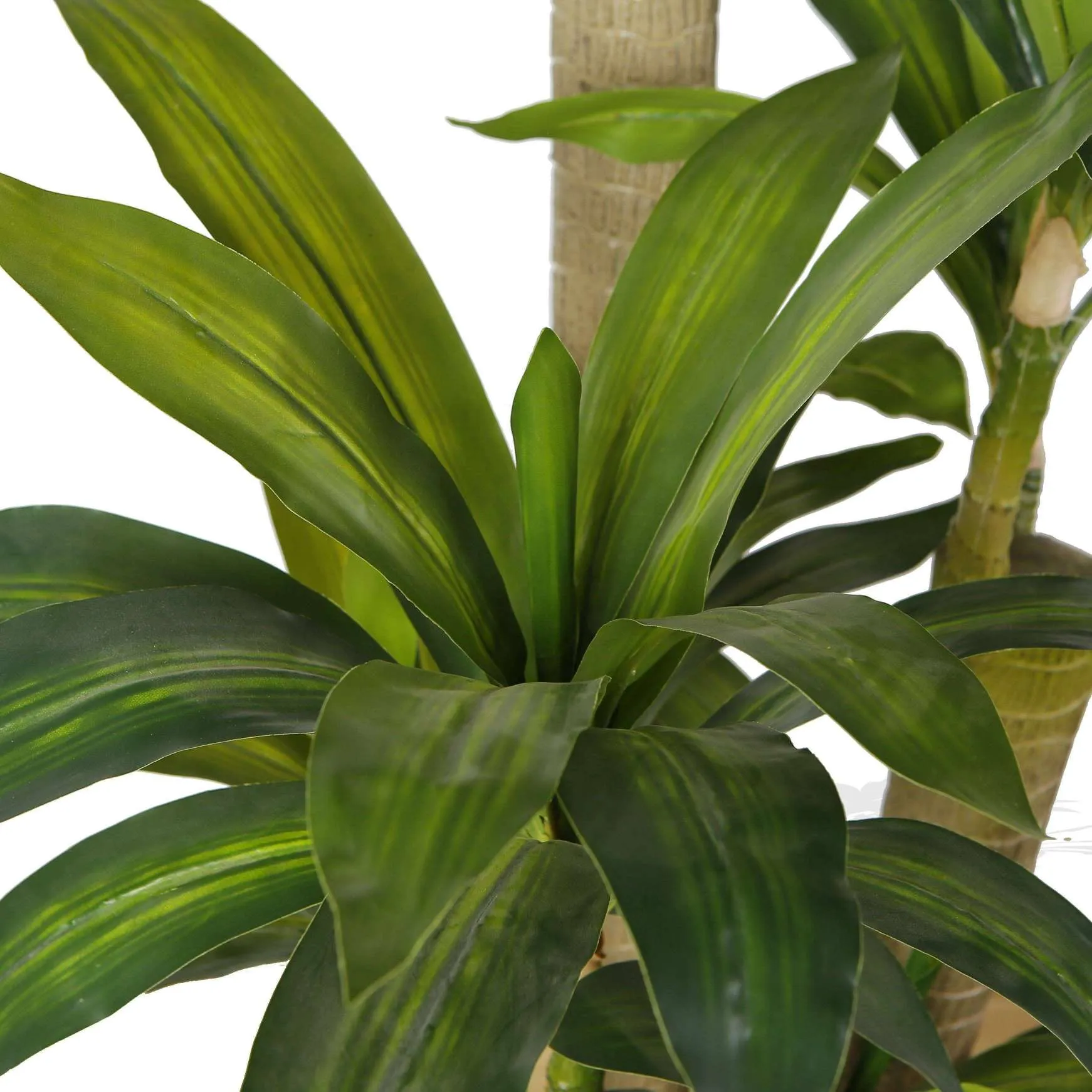 Artificialis Draecena lignum Potted Plant (Multiple Sizes)