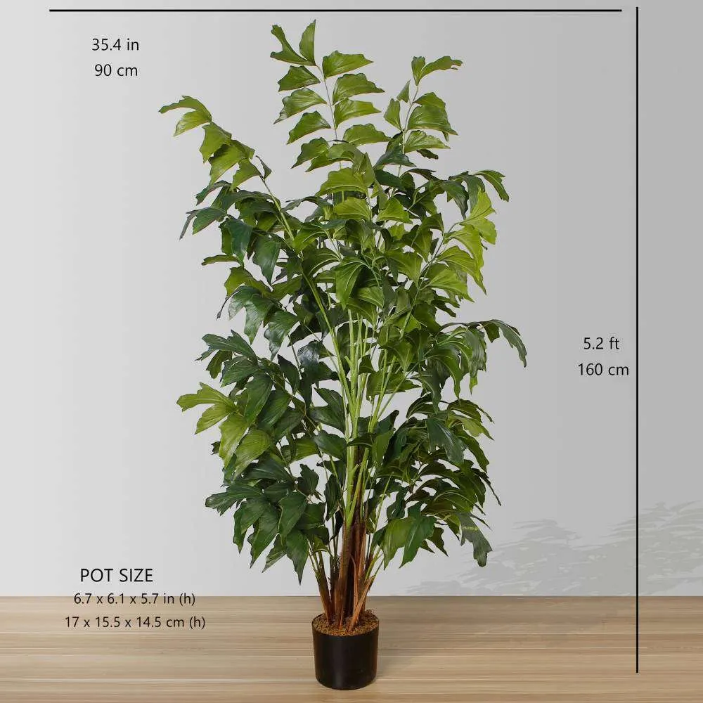 Artificialis Fishtail Palm Arbor Potted Plant (Multiple Sizes)