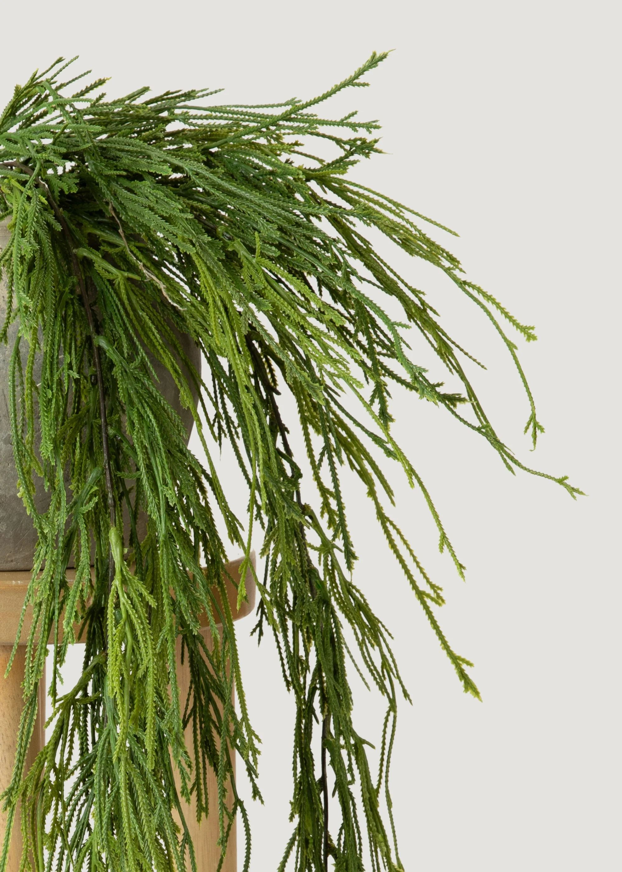 Indoor_outdoor fake tentorium musco Fern herba incipiens a C
