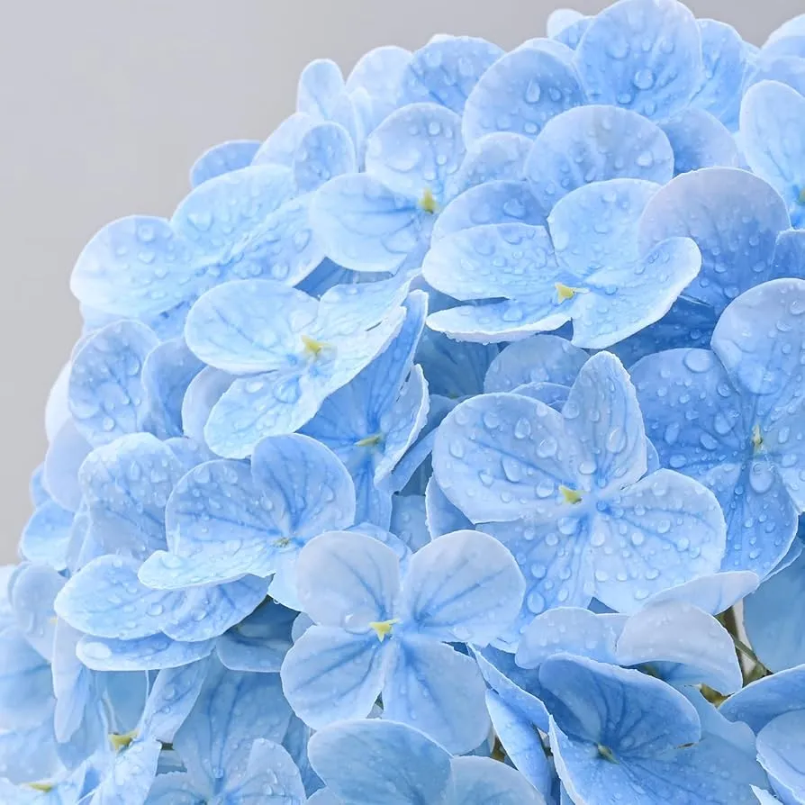 Fake flores verus tactus Hydrangeae