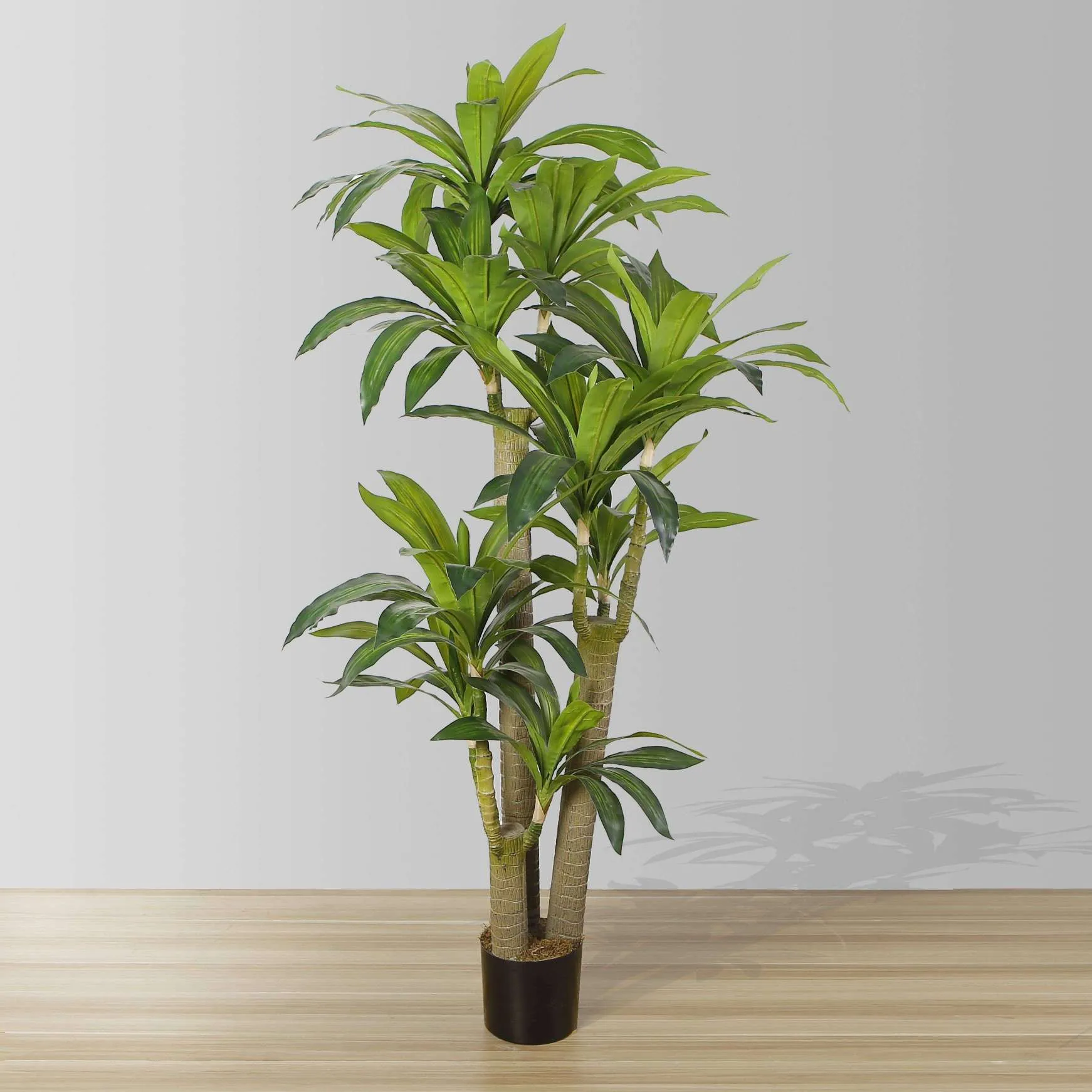 Artificialis Draecena lignum Potted Plant (Multiple Sizes)