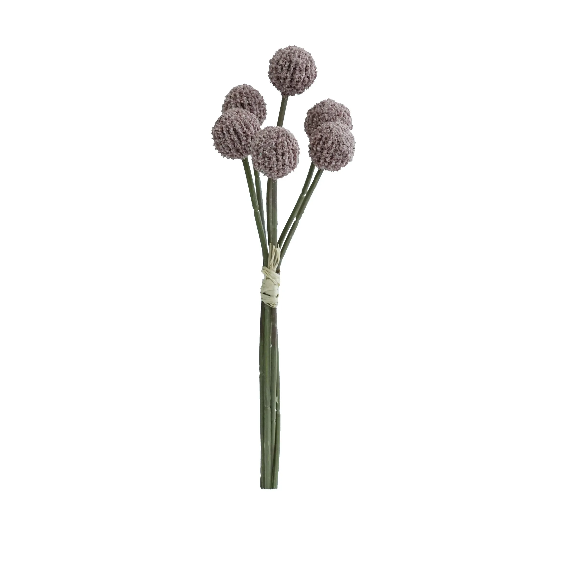 Fasciculus aurea balls