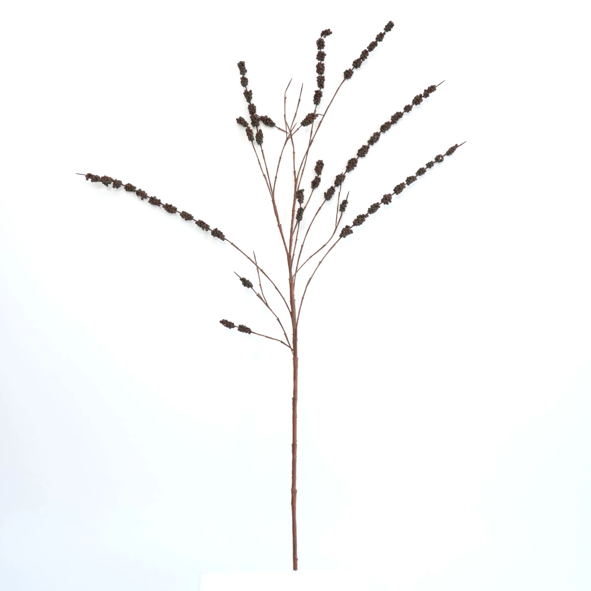 High-florens moro fructus