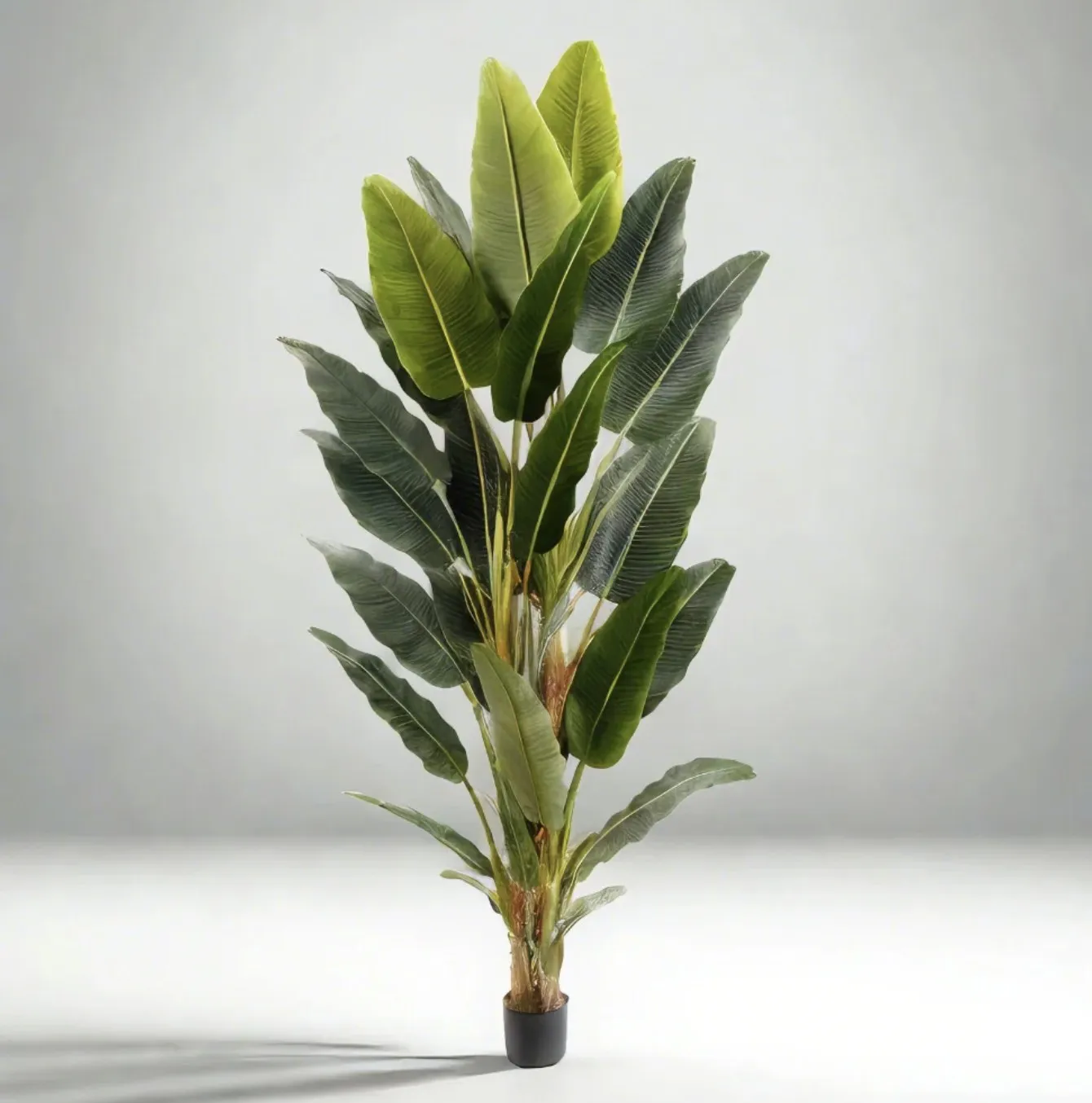 Senior artificialis avis paradiso potted plant (multa magnitudinum)