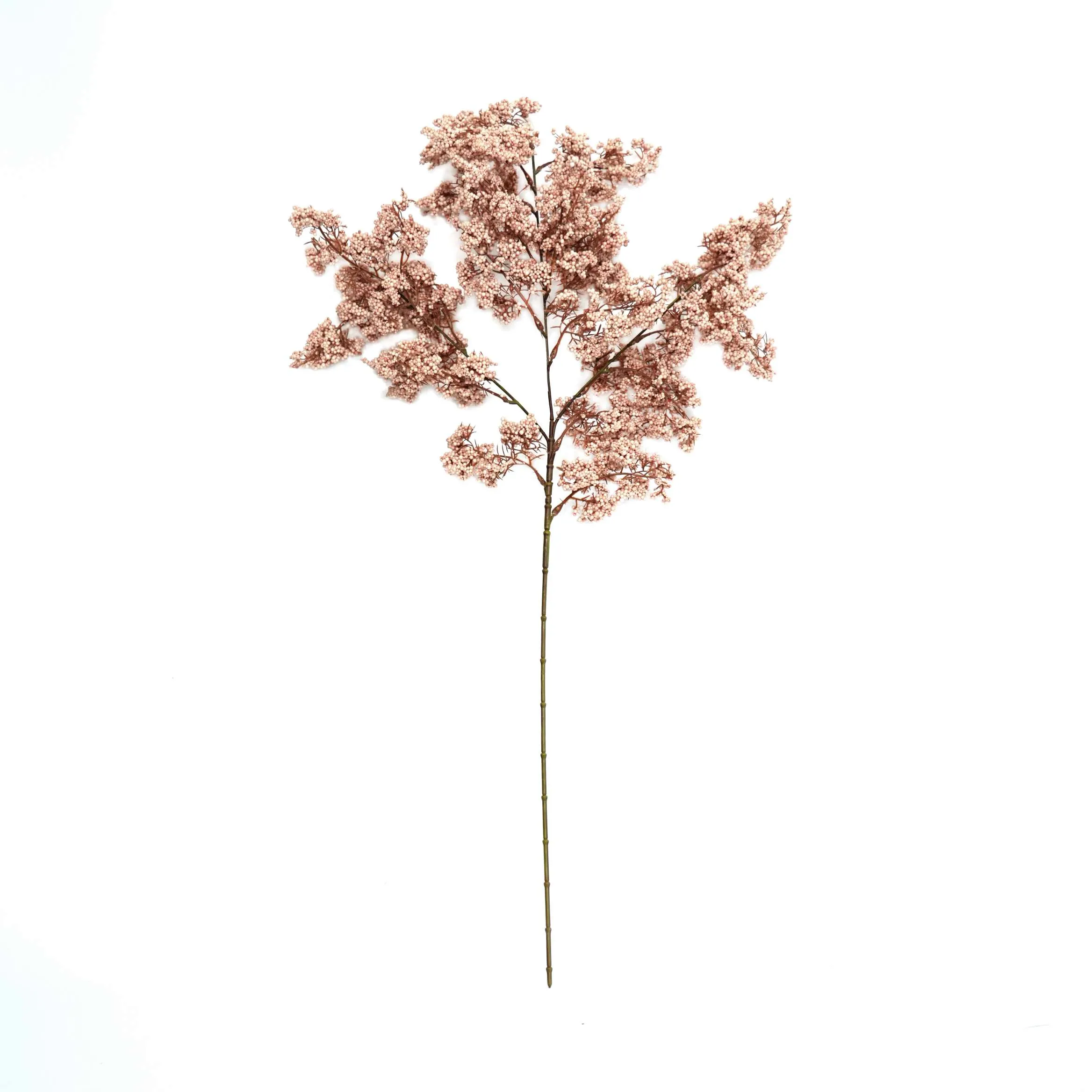 Unum hiems viridi fructum