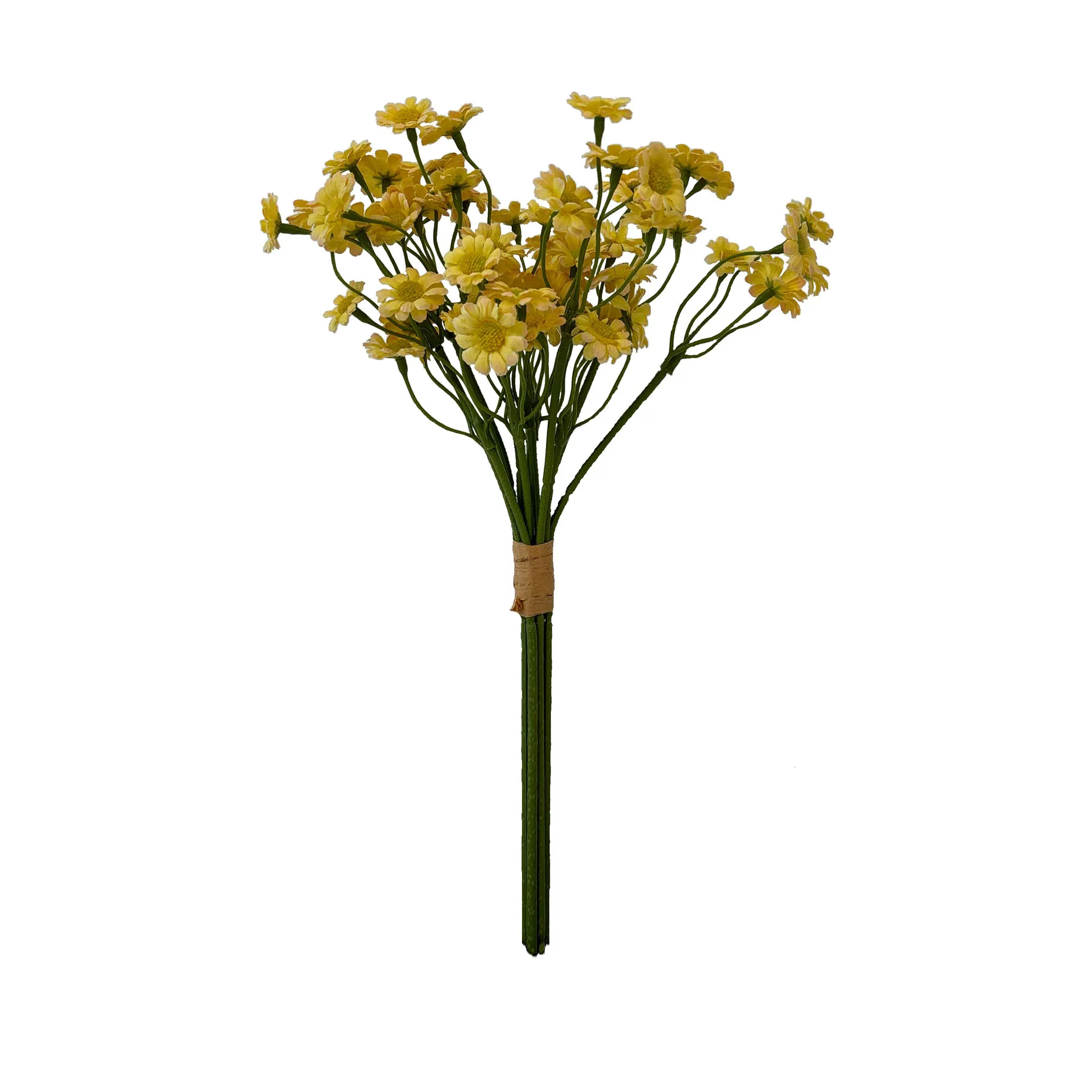 Take a fasciculum chamamile