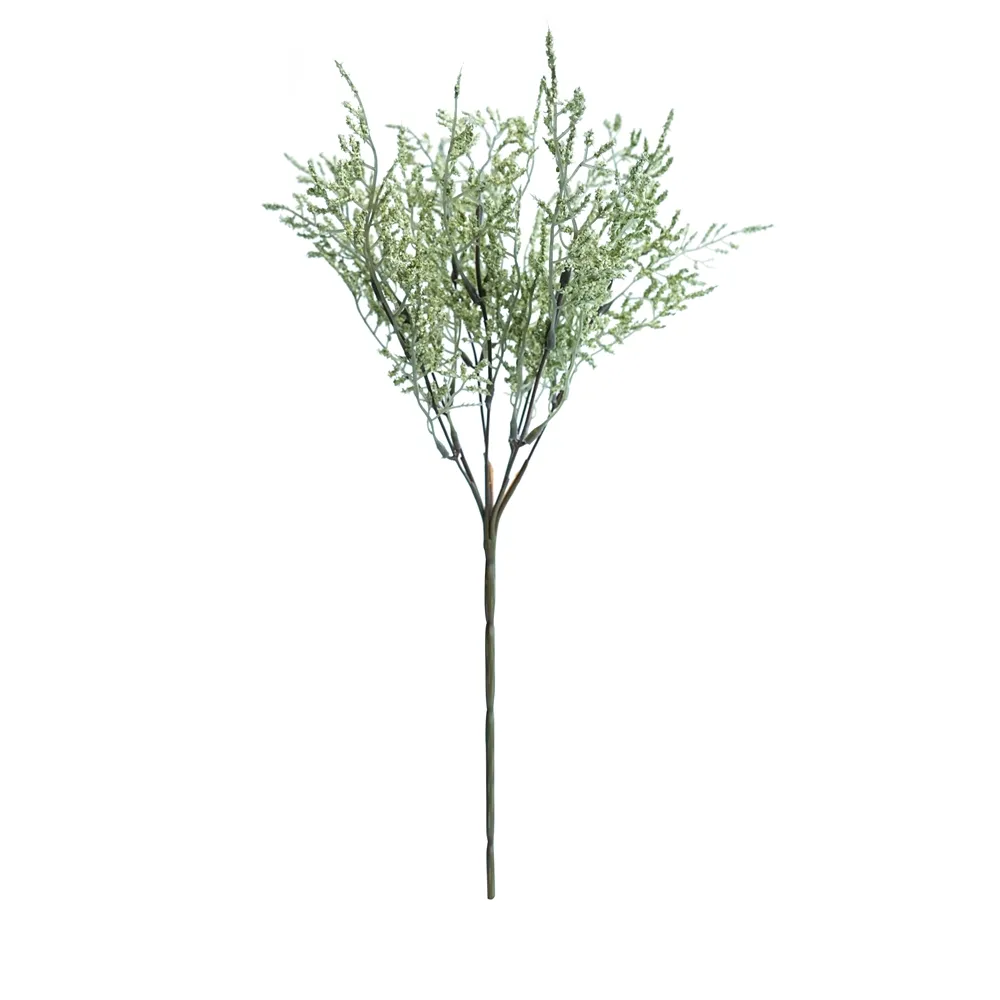 posuit fasciculum amatoris folia eam
