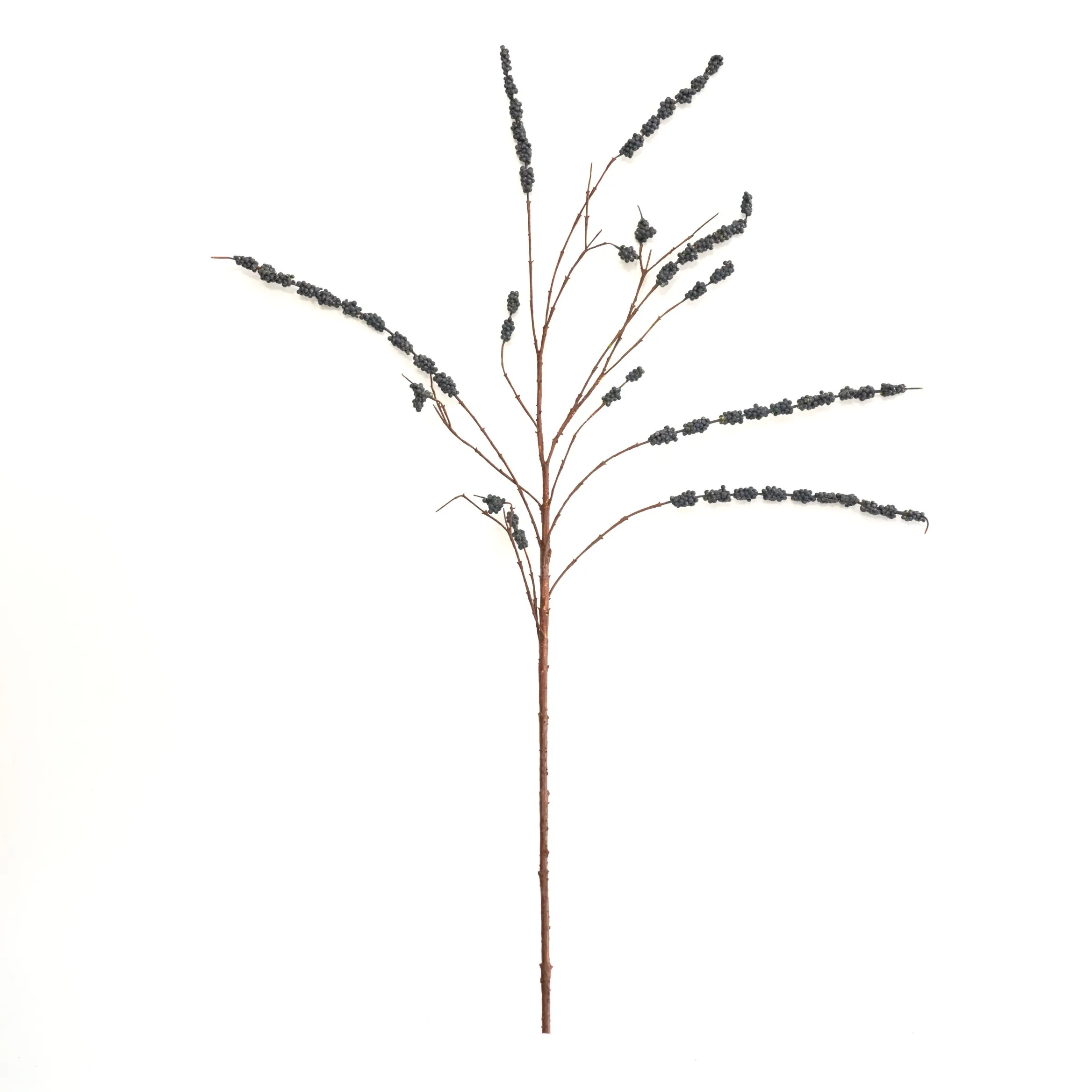 High-florens moro fructus