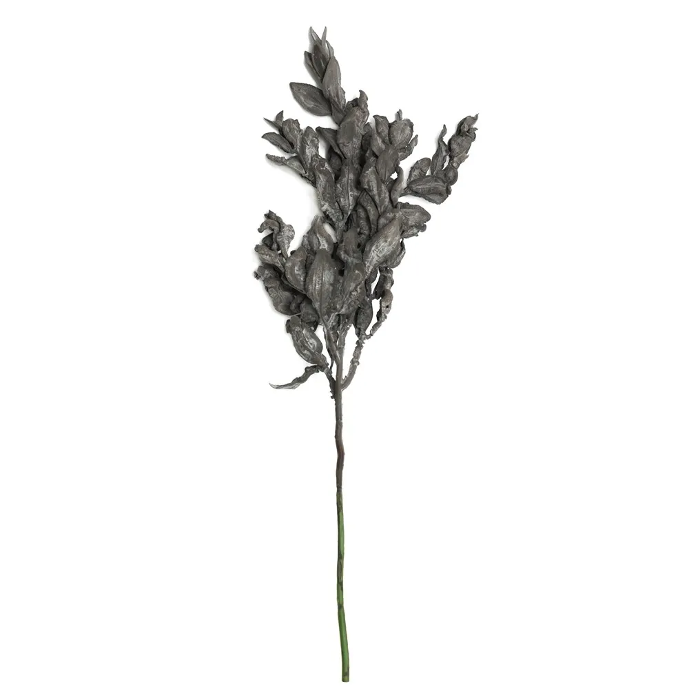 Short-ramosis yuanbao folium