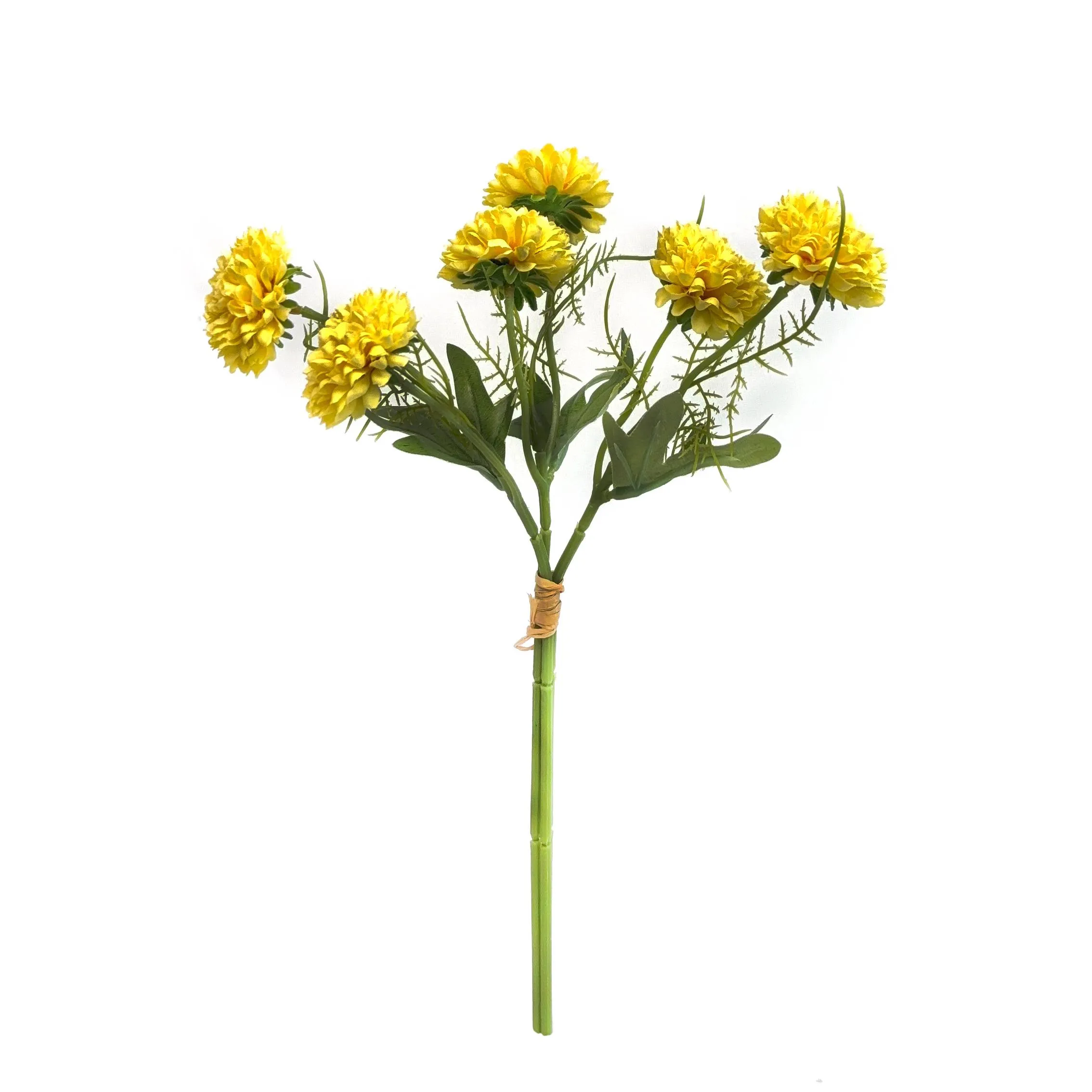 A fasciculum chrysanthemums