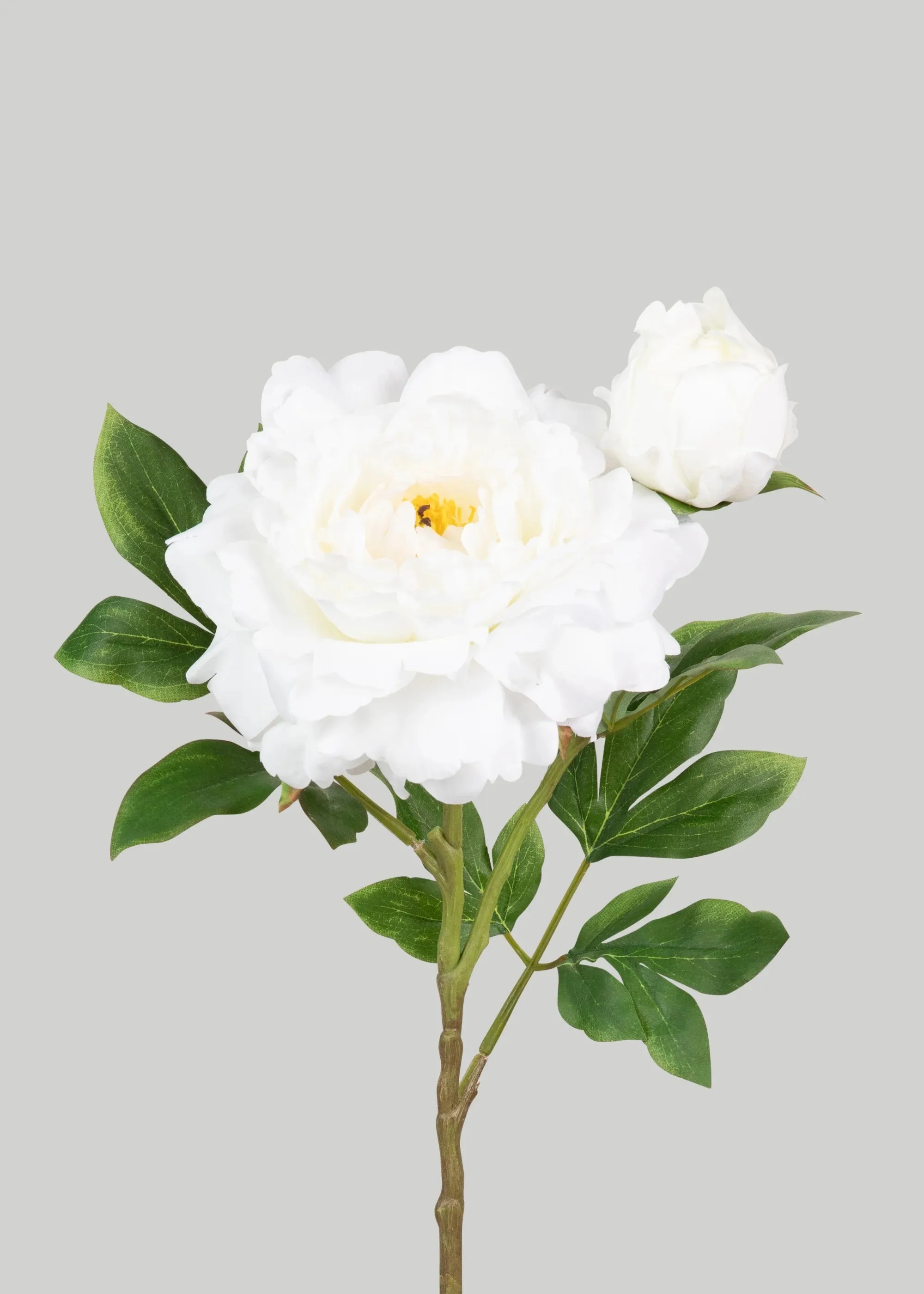 Deluxe AGLOOHOTIS fake flos