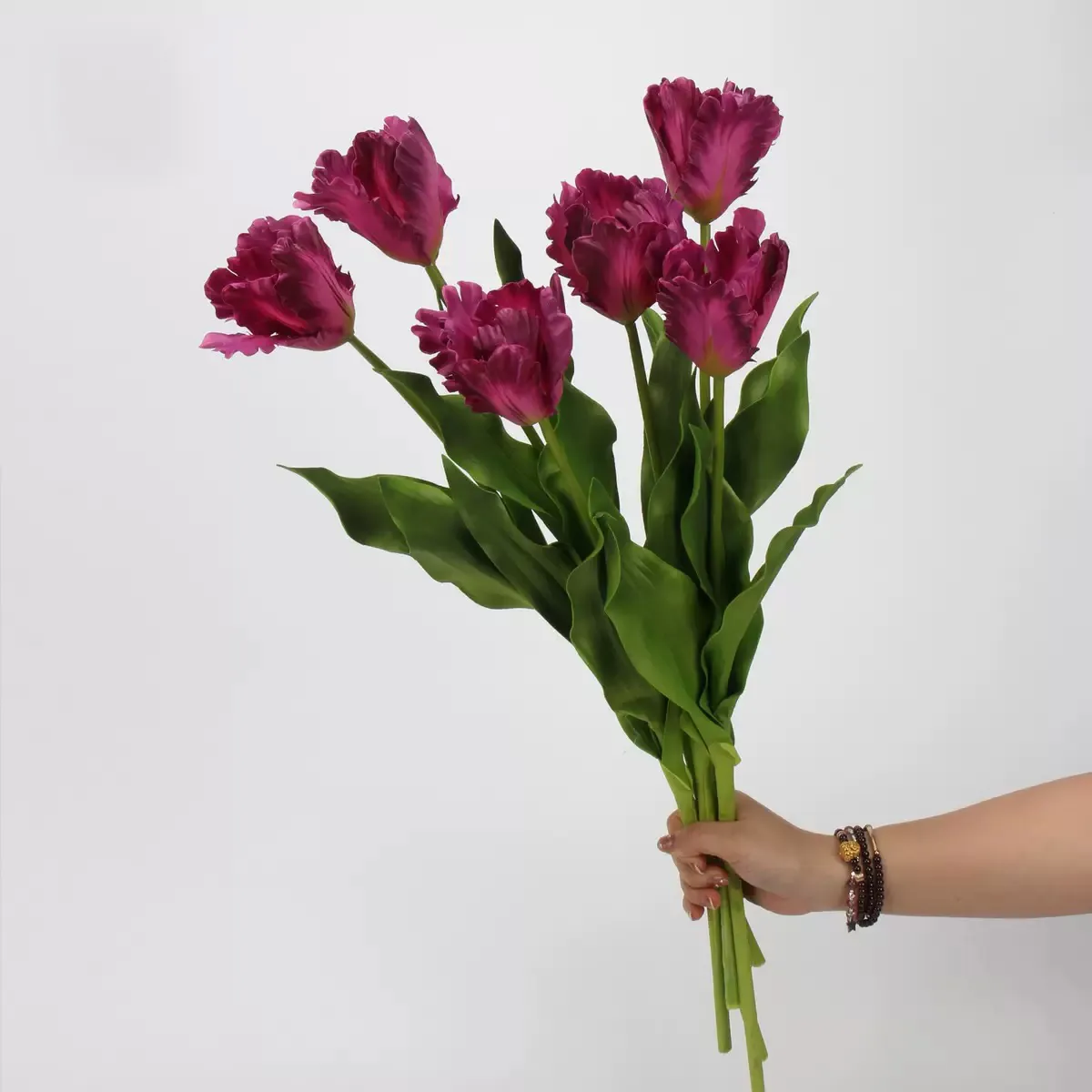 Monet Tulipaaaaaaaaaaaaaaaaaaaaa