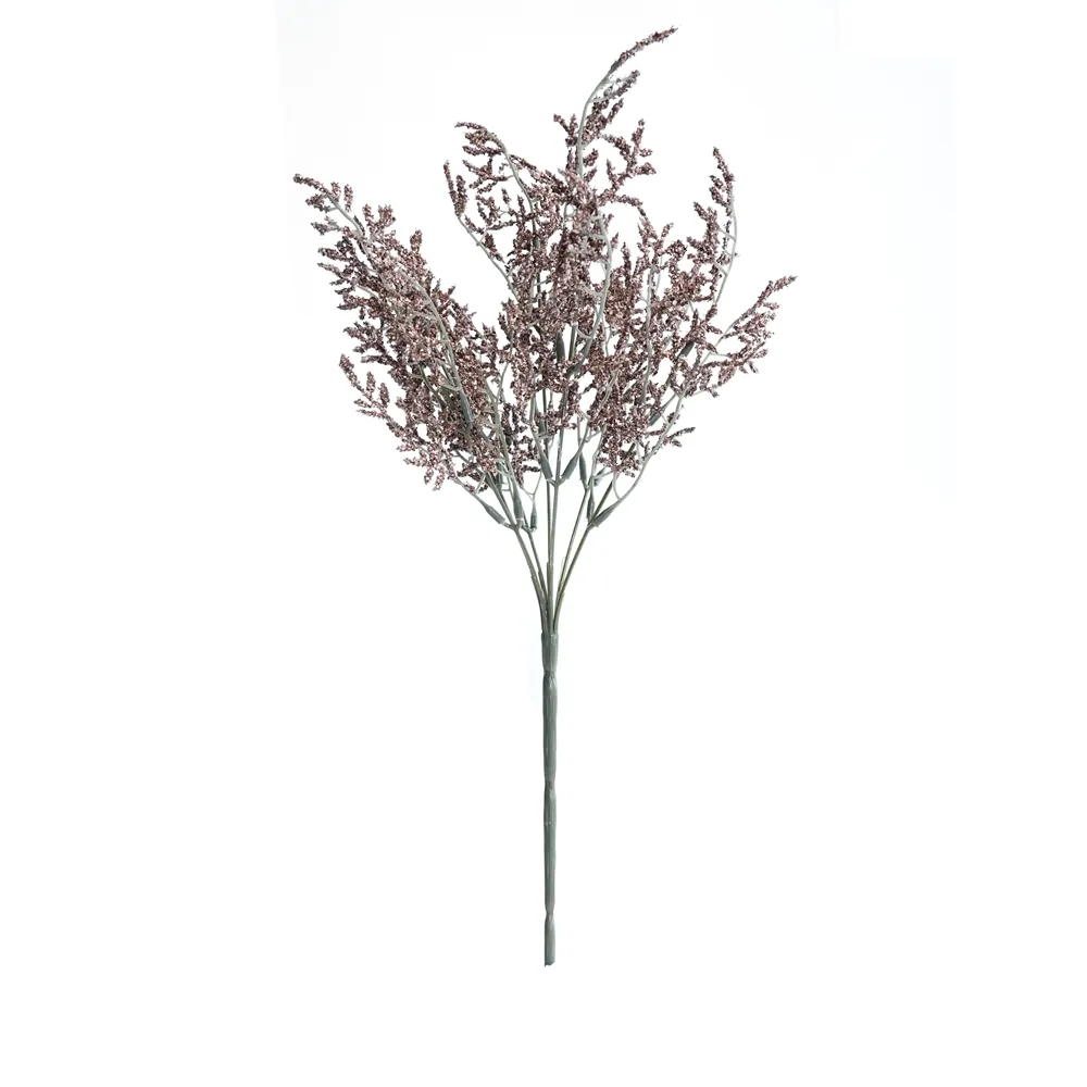 posuit fasciculum amatoris folia eam