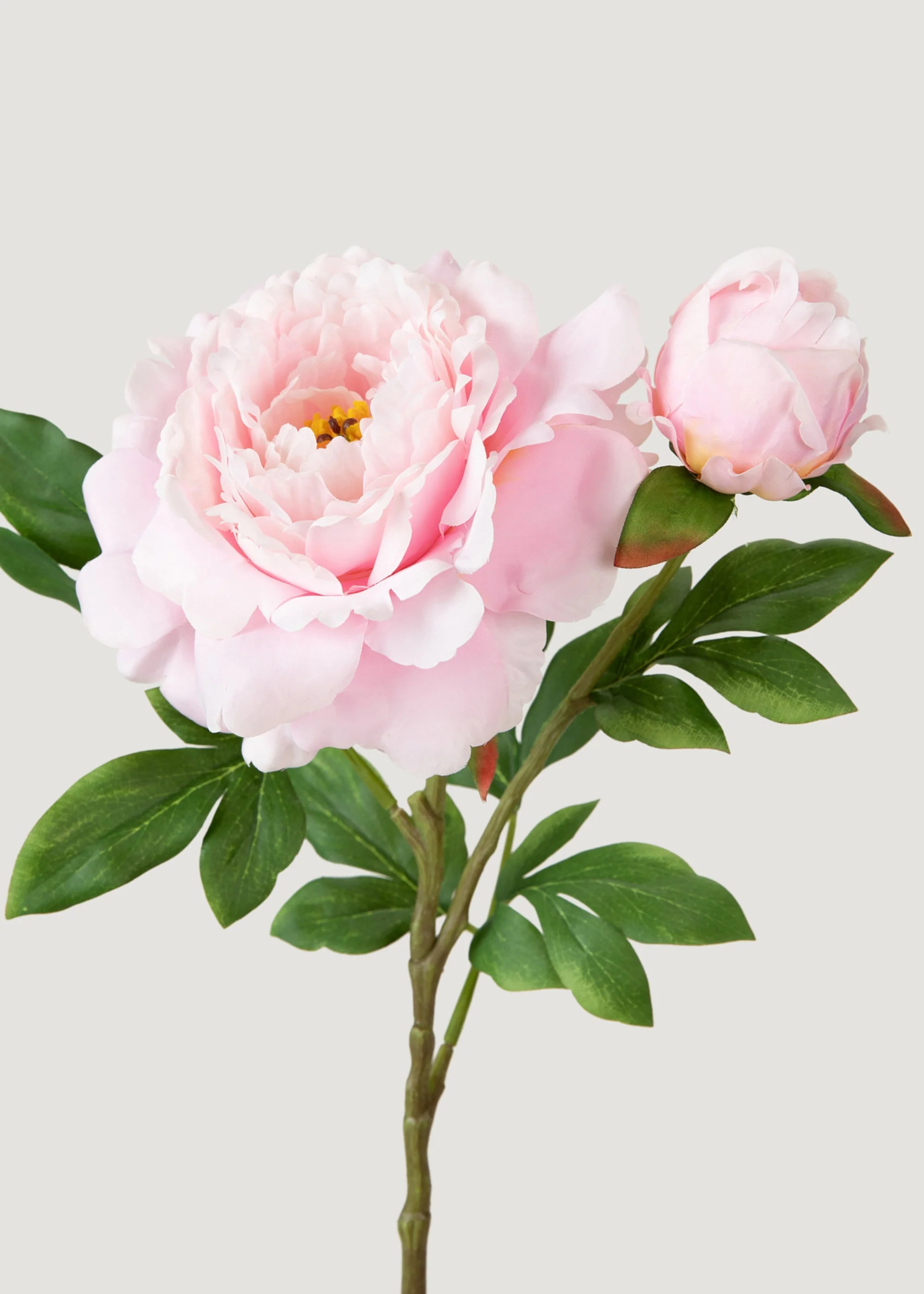 Deluxe AGLOOHOTIS fake flos