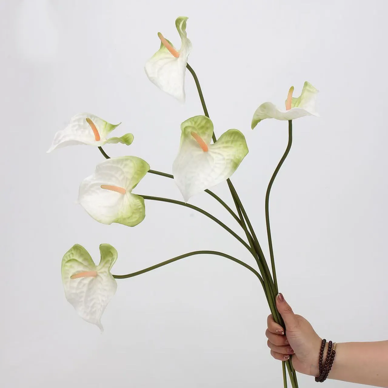 anthurium palmam
