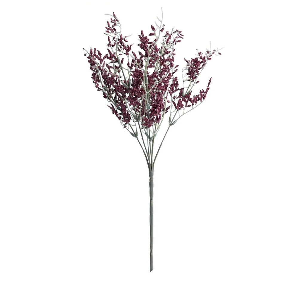 posuit fasciculum amatoris folia eam
