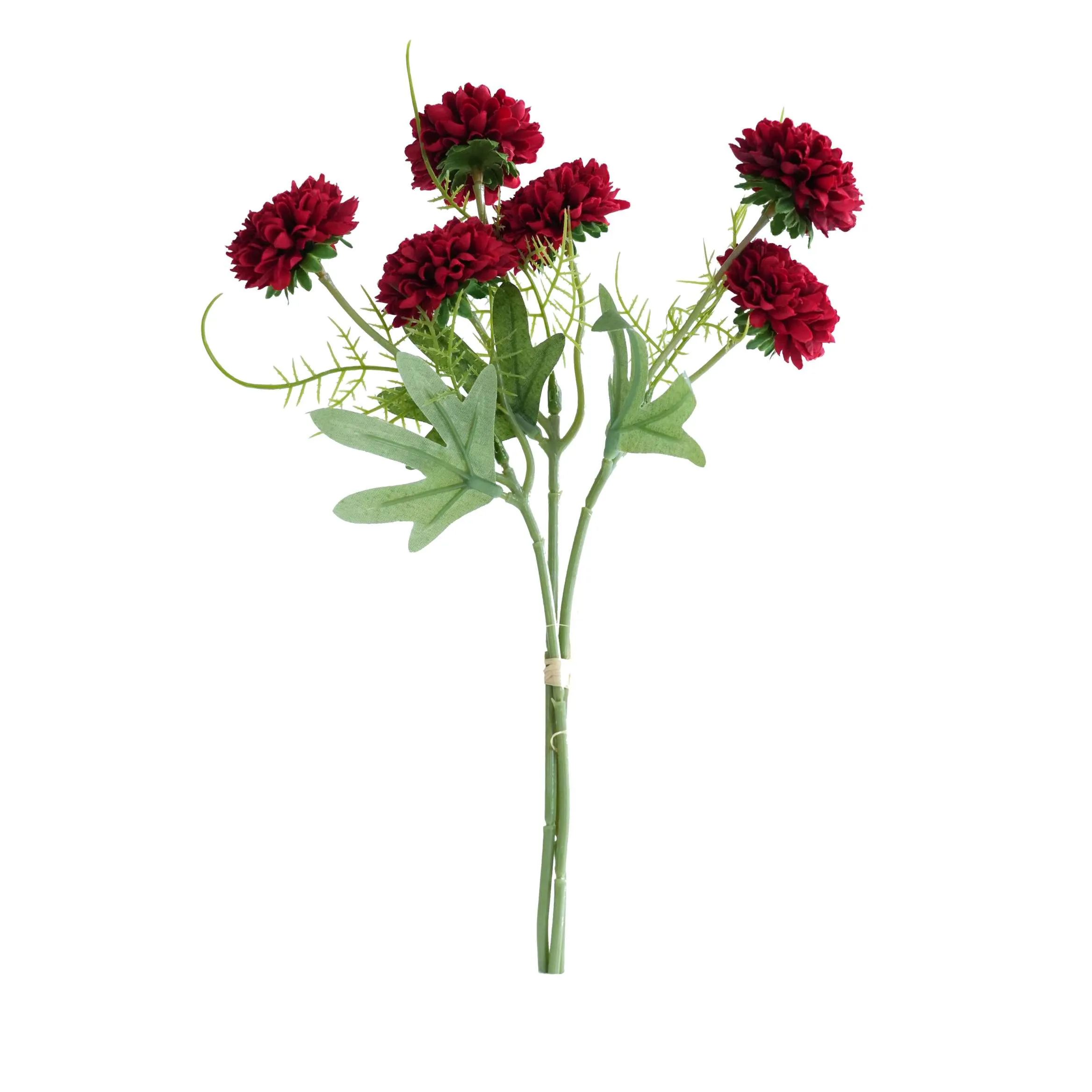 A fasciculum chrysanthemums