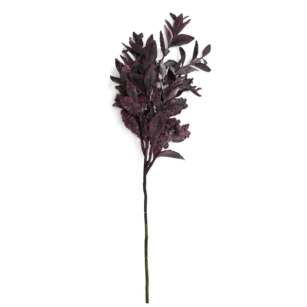 Short-ramosis yuanbao folium