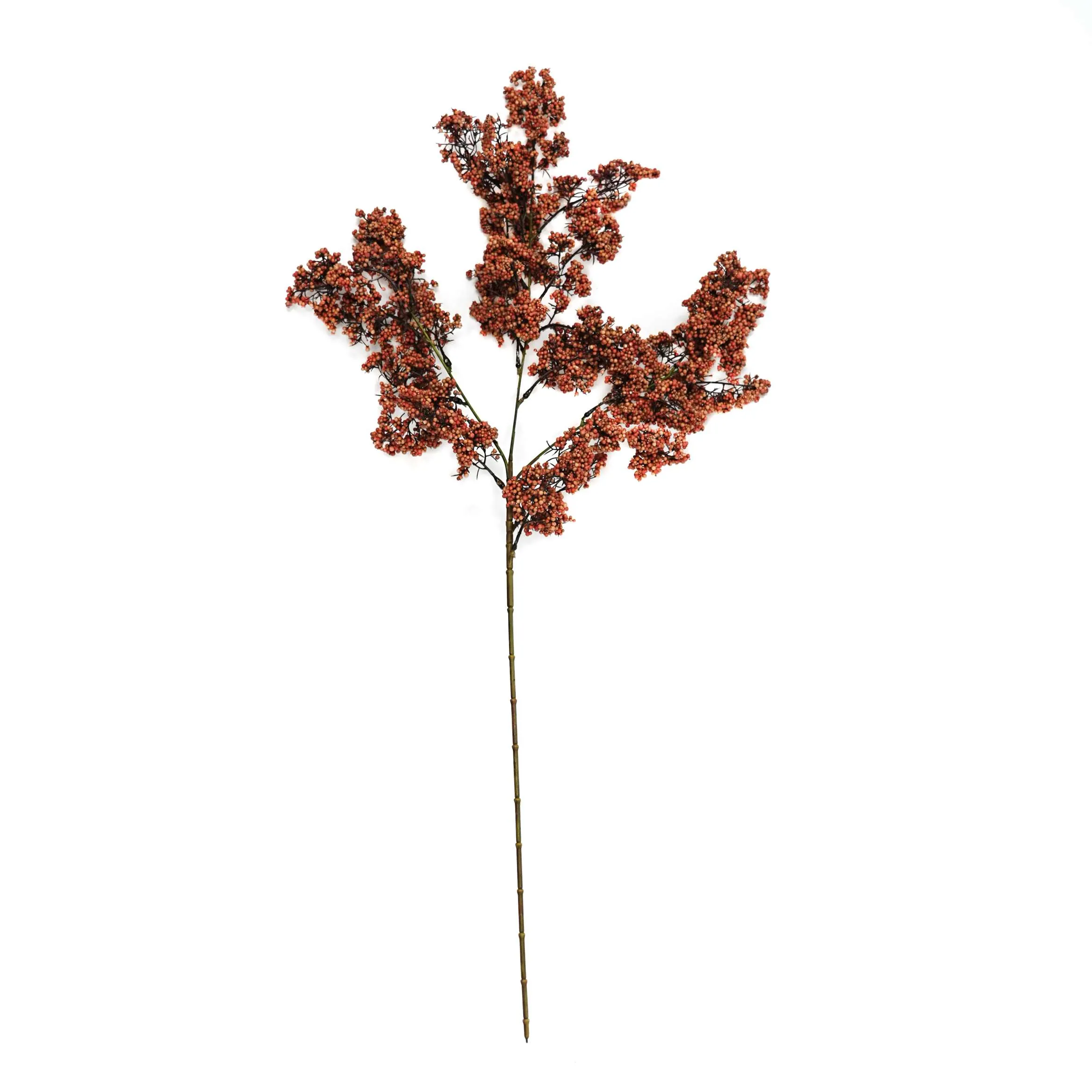 Unum hiems viridi fructum