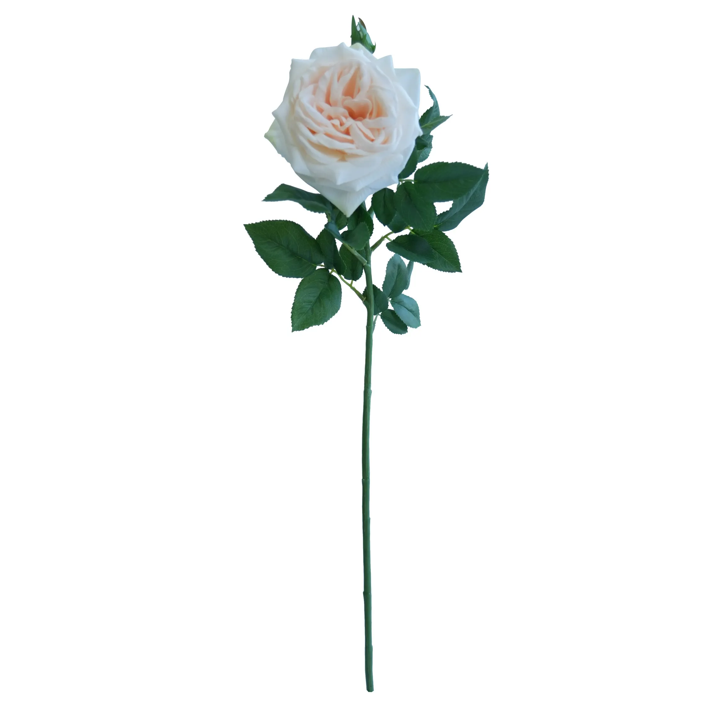Una Lychee Rose