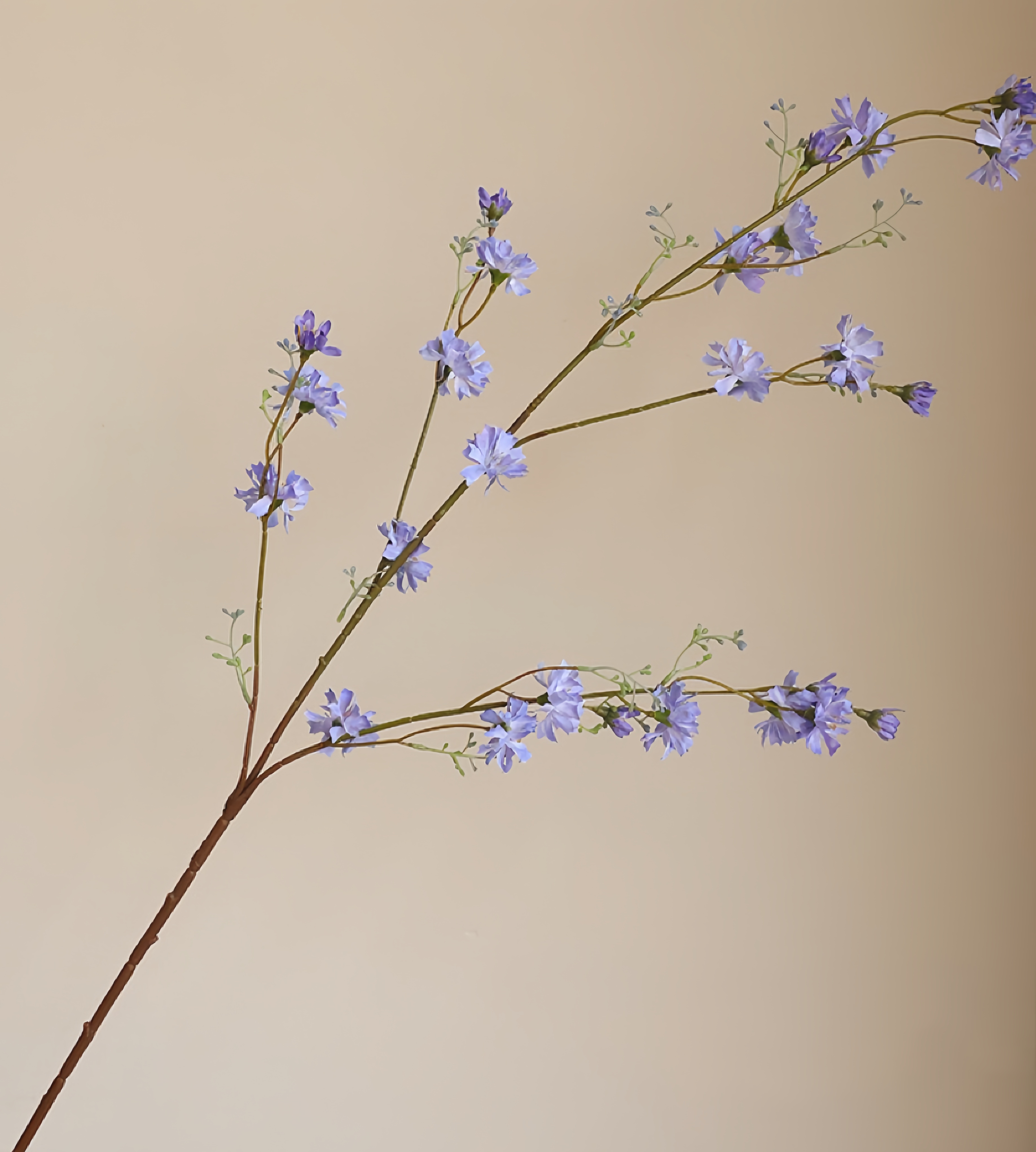 Artificialis salices Chrysanthemum germen