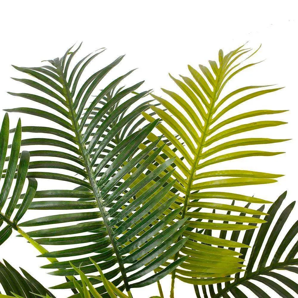 Hawaii artificialis palmam arbore potted plant