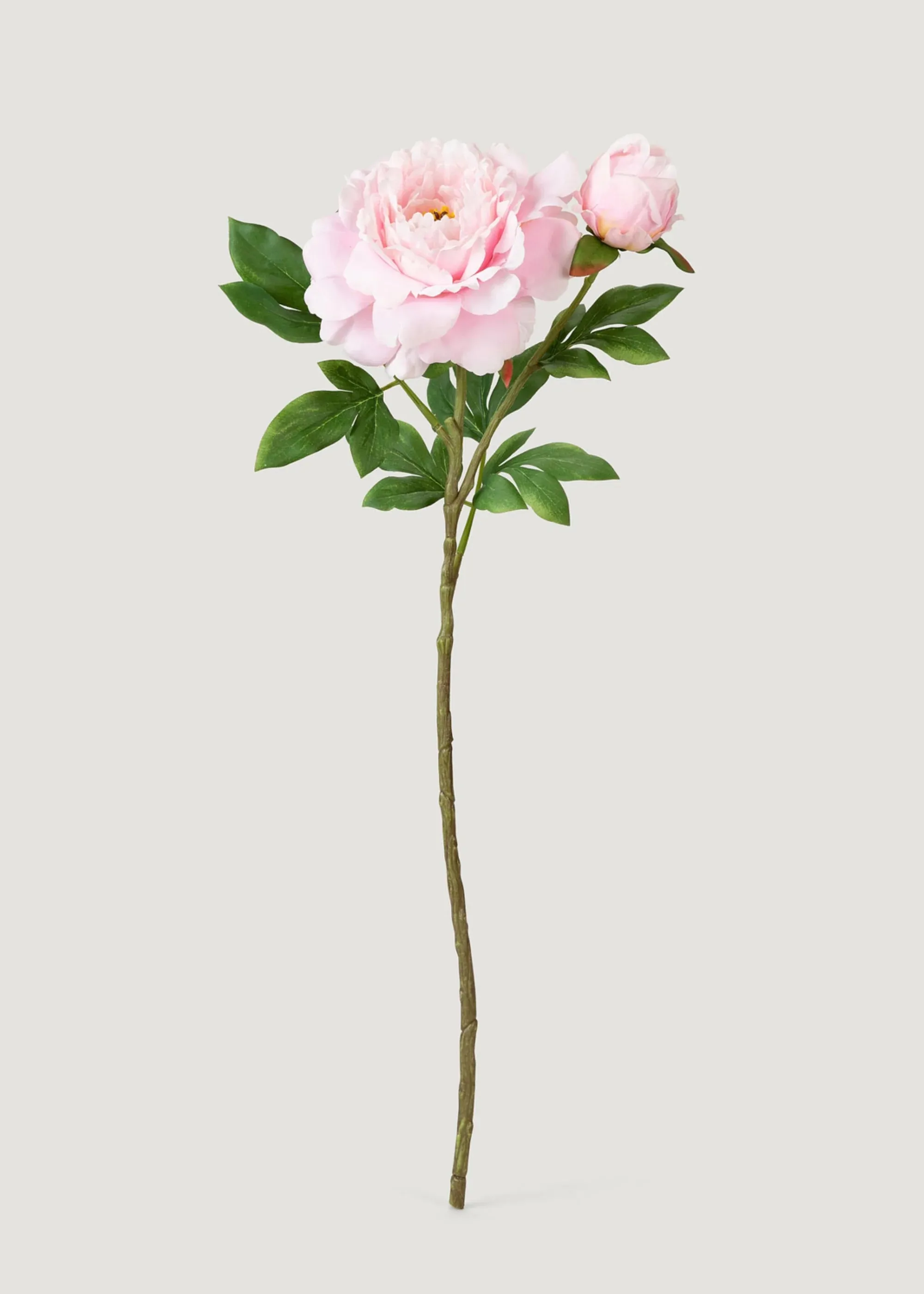 Deluxe AGLOOHOTIS fake flos