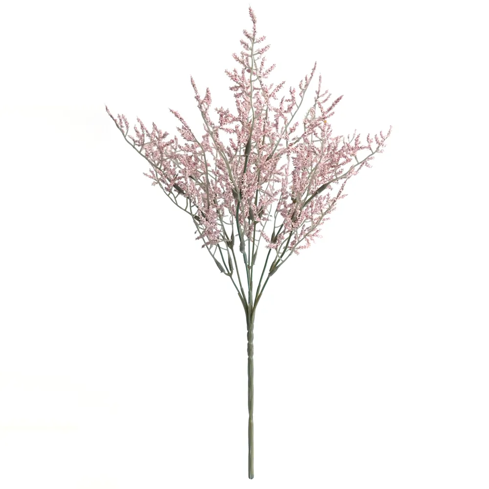posuit fasciculum amatoris folia eam