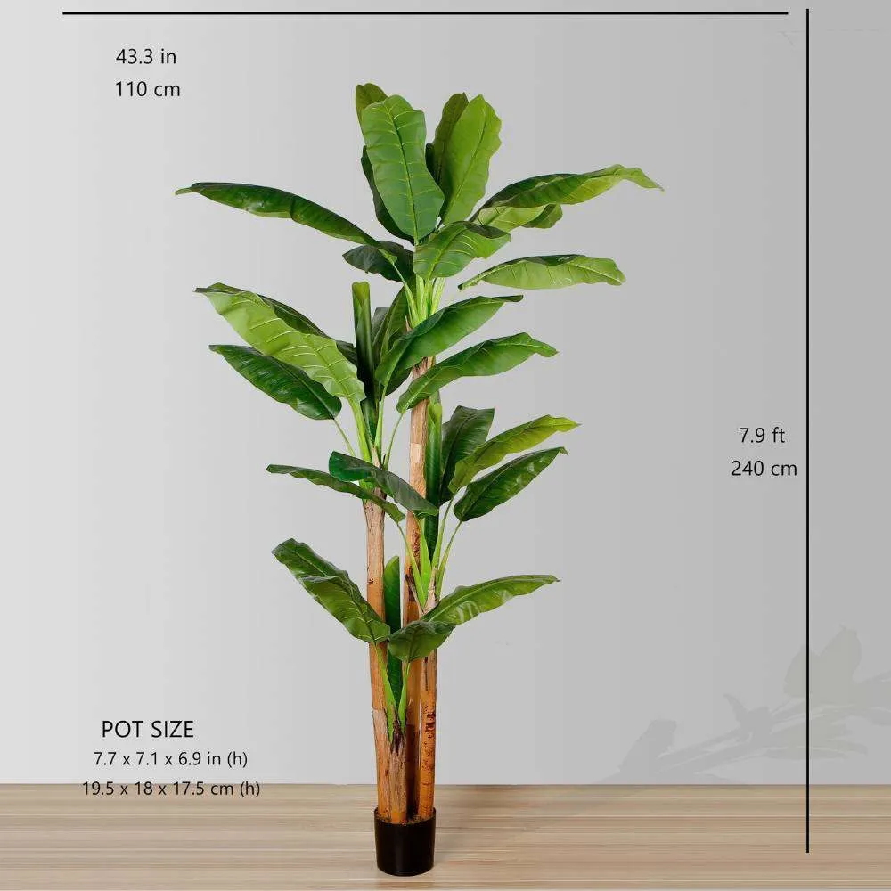 Anna artificialis Musa arbore potted plant