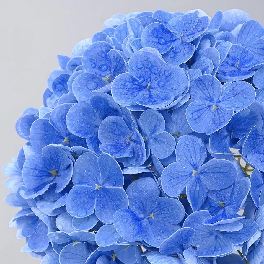 Fake flores verus tactus Hydrangeae