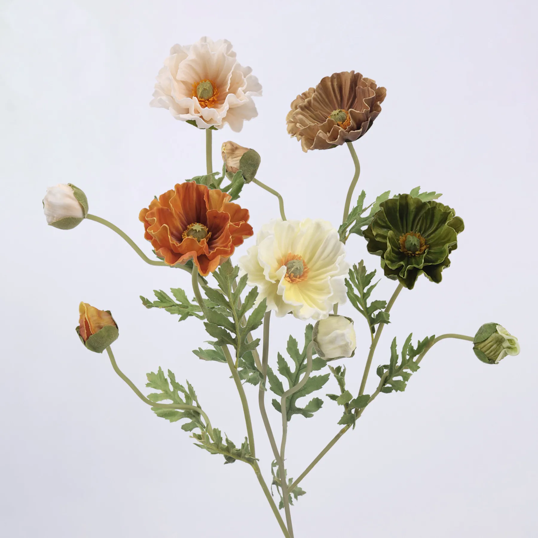 The application of bird of paradise silk flower