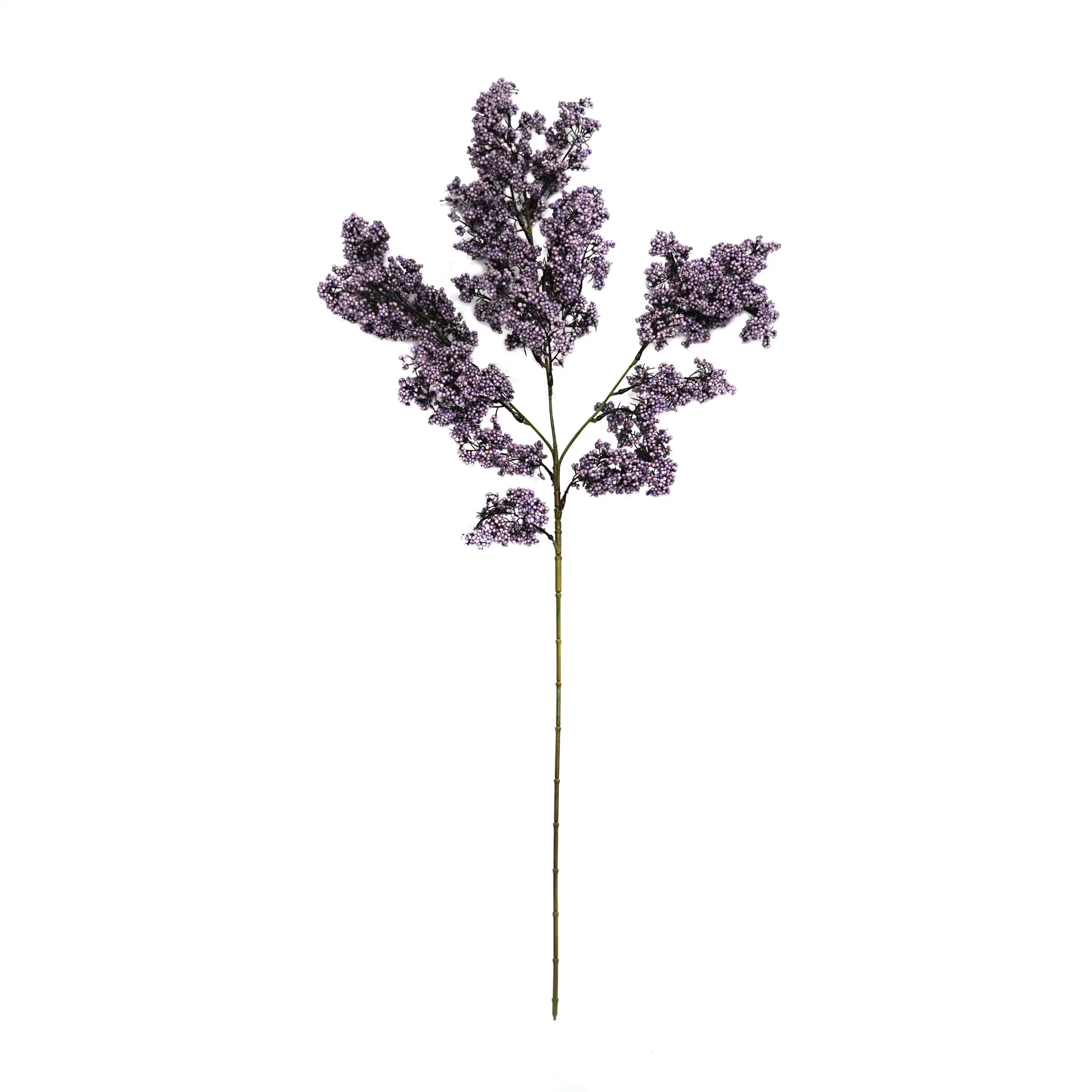 Unum hiems viridi fructum